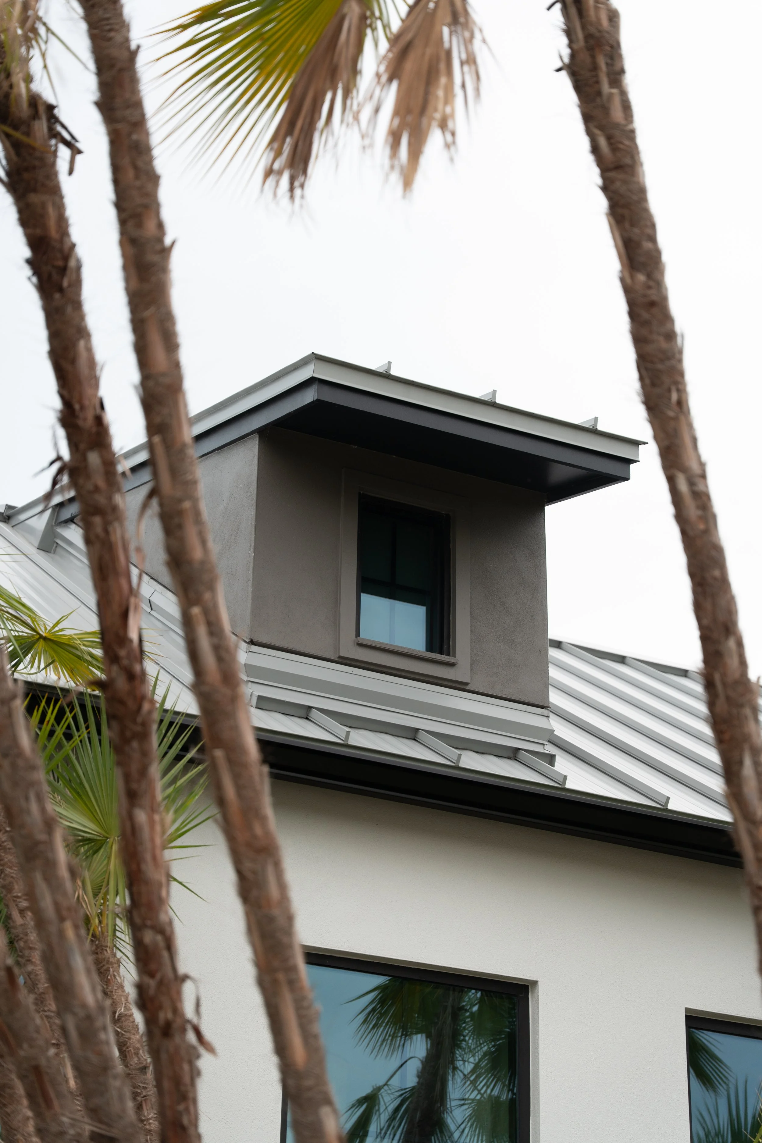 View of a modern building's upper floors with large windows, a gray exterior, and a metal roof, partially obscured by tree branches and palm fronds in the foreground.