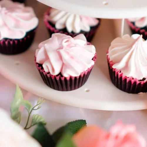 Sweet Treat Stand Rentals Petite Picnic Party for children at their pop up picnic in 32081 St. Johns County near Ponte Vedra Beach SilverLeaf 