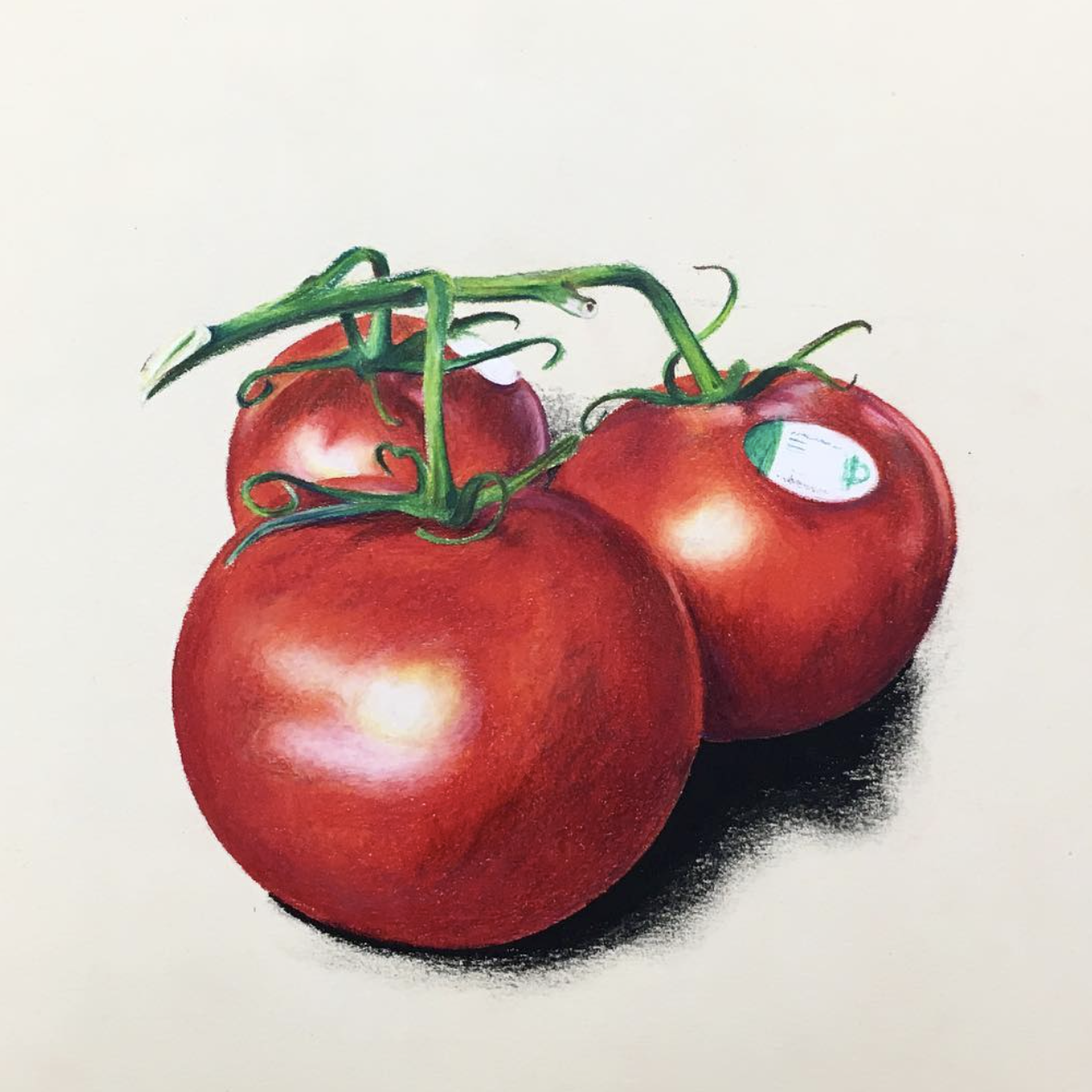 Screenshot 2026-04-25 at 11.14.47 AM.png