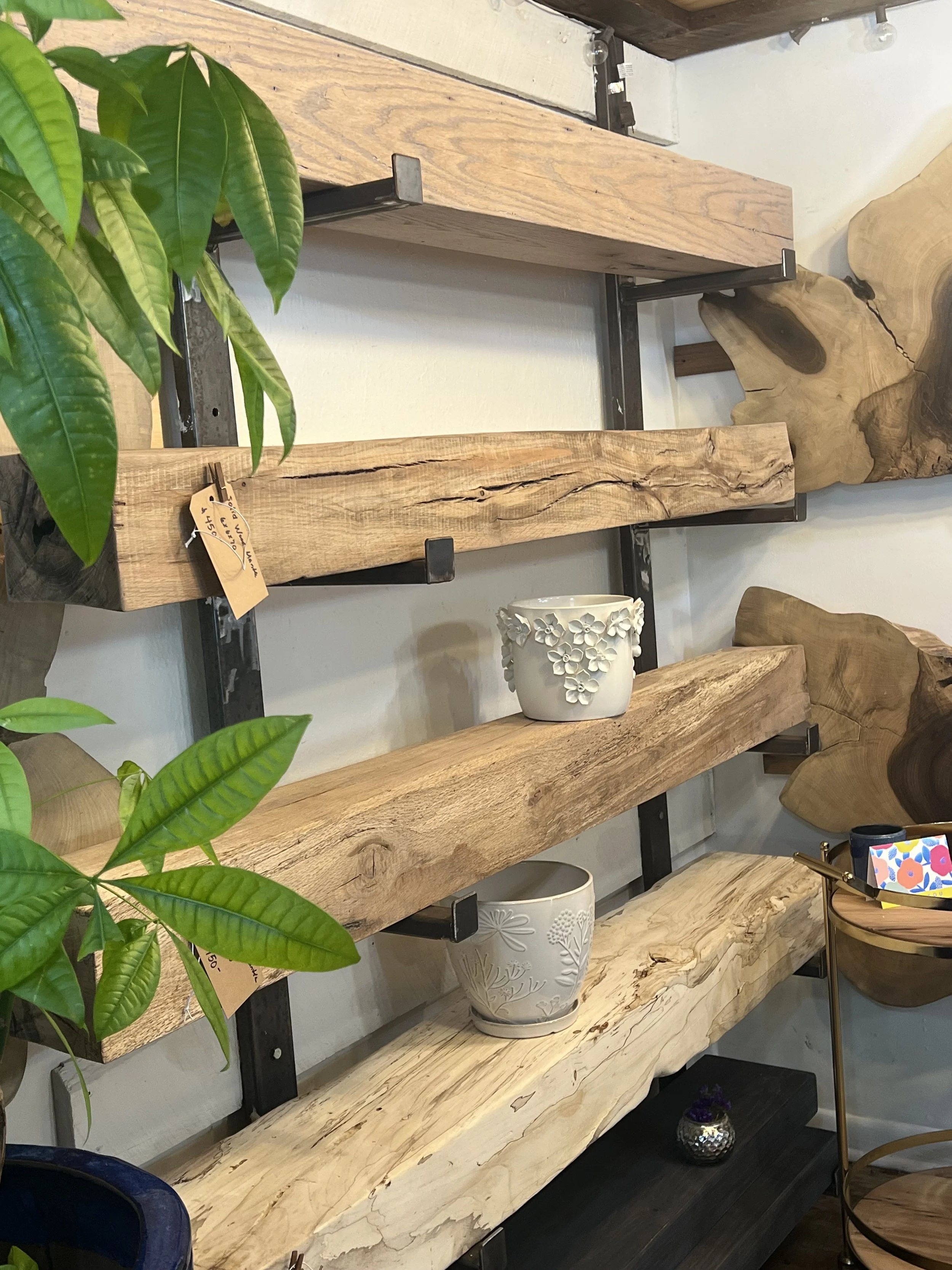 Wooden shelves with black metal brackets holding decorative ceramic pots and wooden accents, a green leafy plant in the foreground.