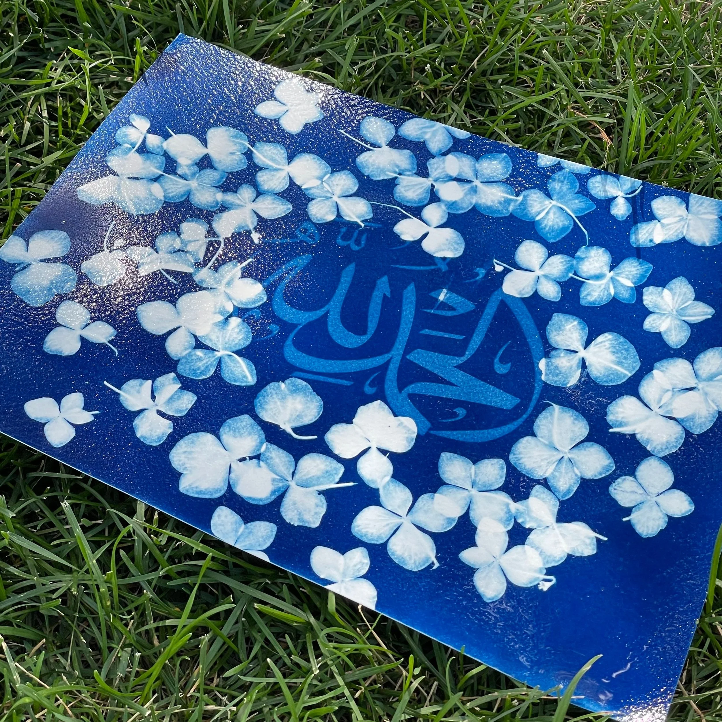 2025 Cyanotype (Sun Print) Party