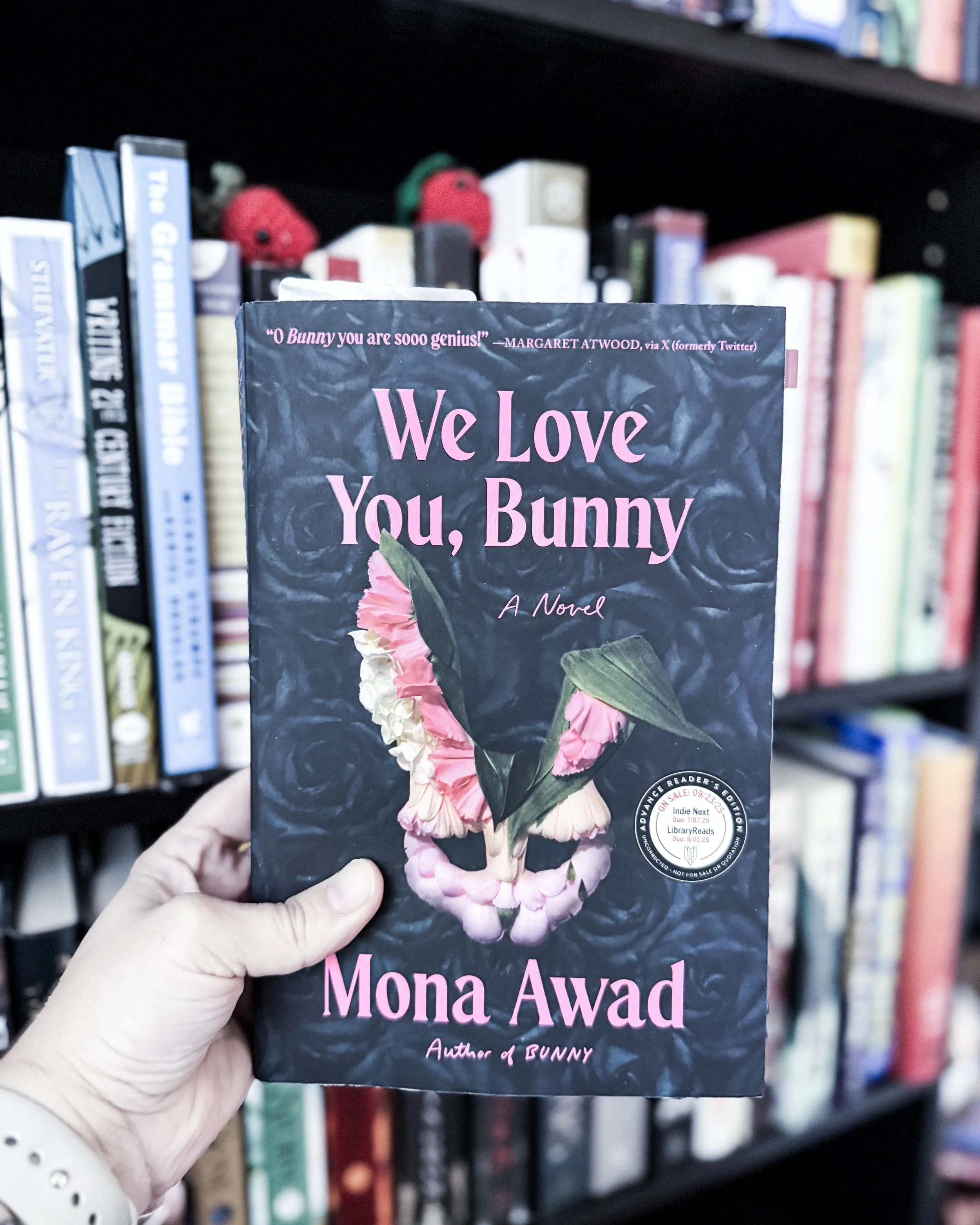An image of the the front cover of We Love You, Bunny by Mona Awad