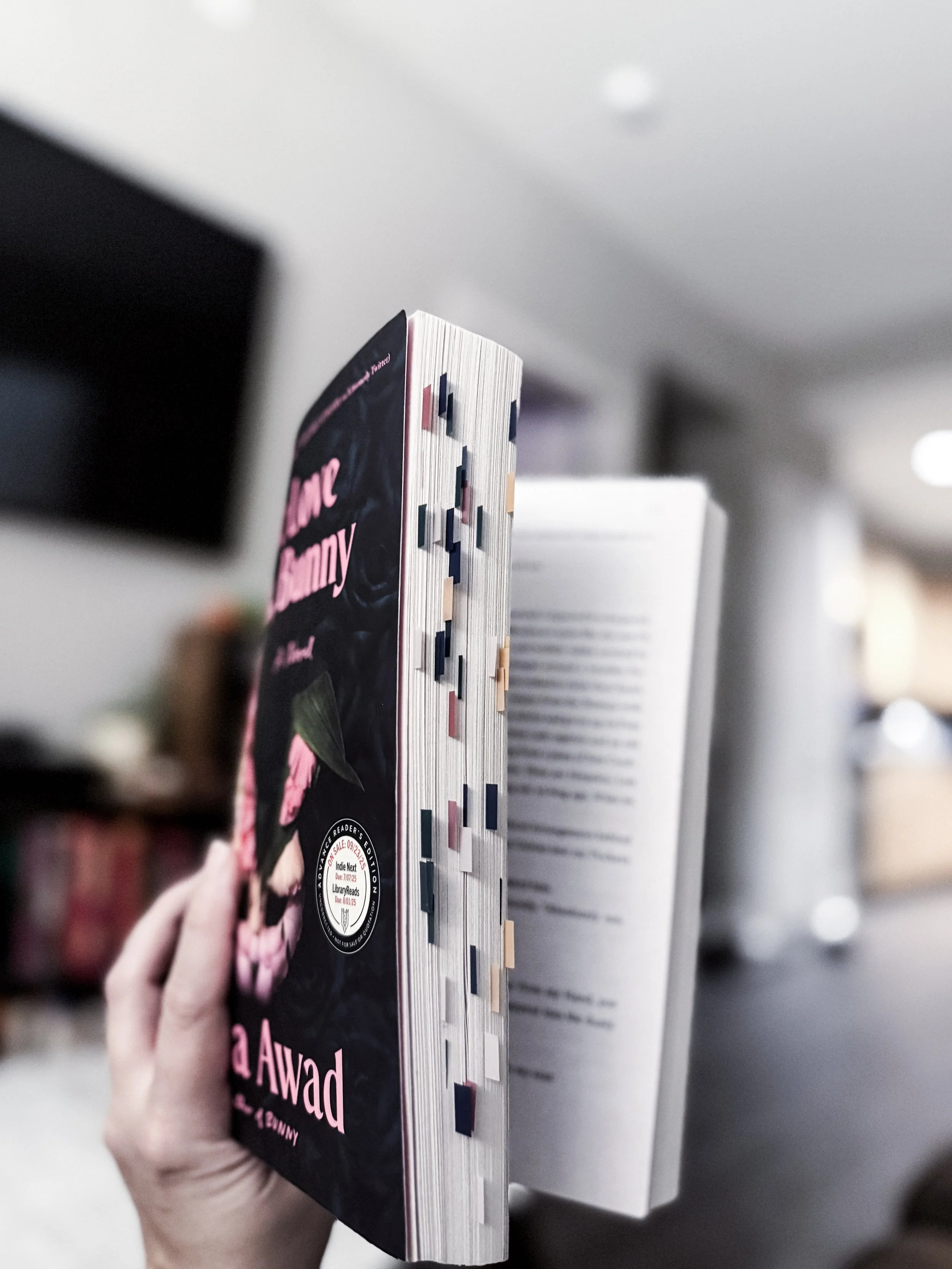 photo of We Love You Bunny by Mona Awad included in a full review