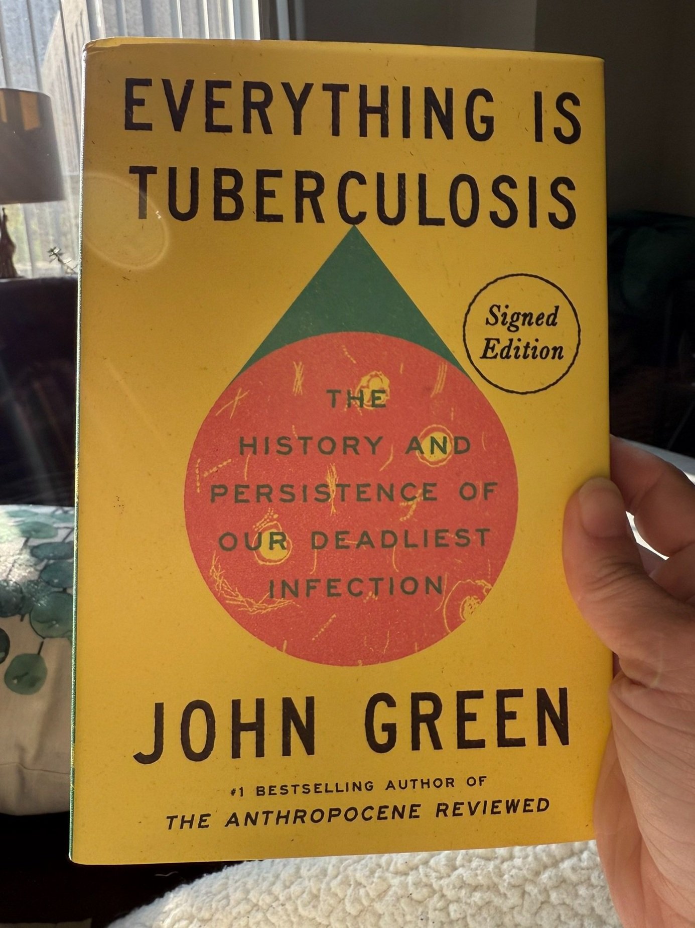 A photo of Everything is Tuberculosis By John Green Being Held by a woman's hand with sunlight in the corner.