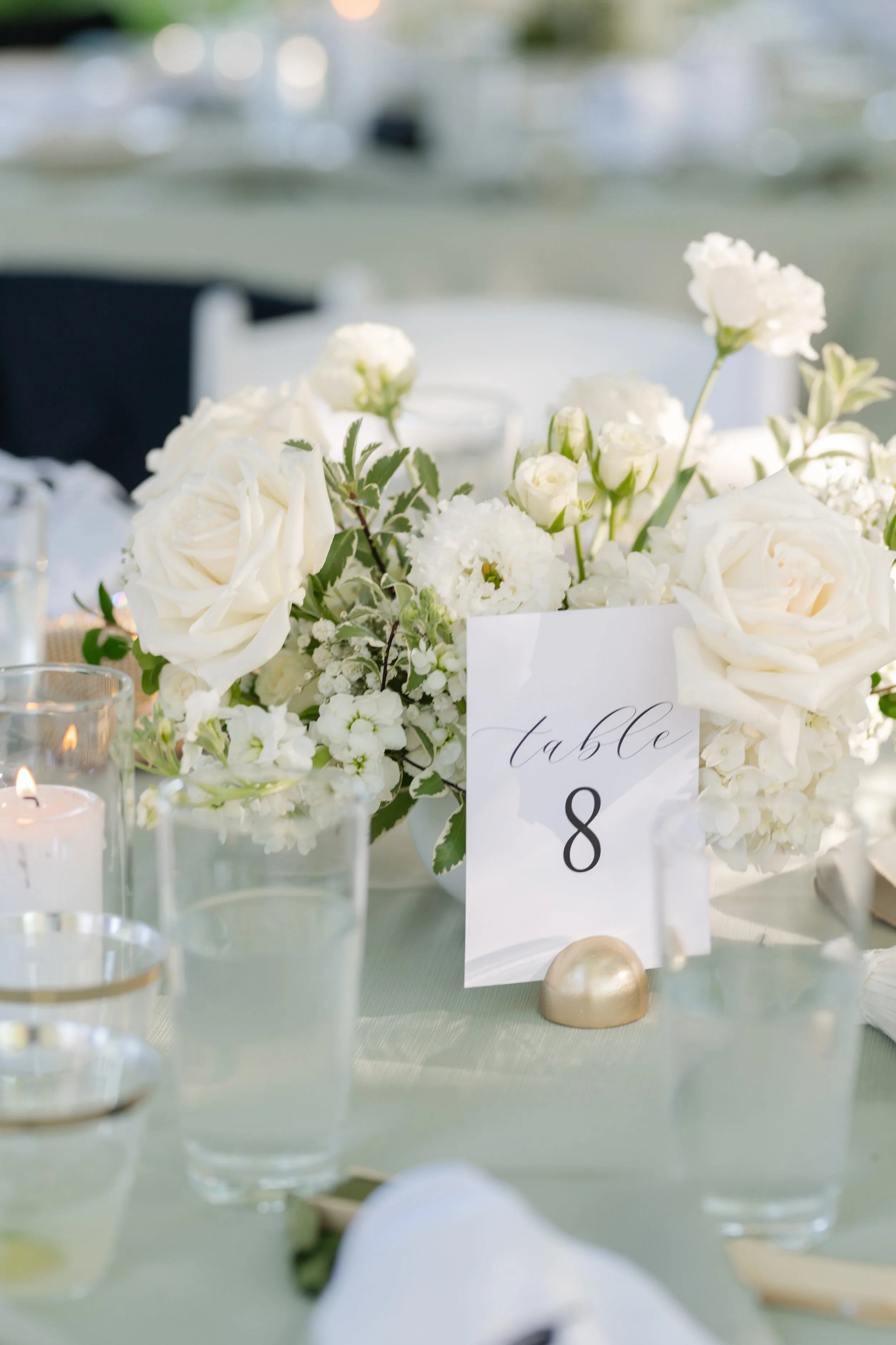 AmberDolyakPhotographyR-103.jpg