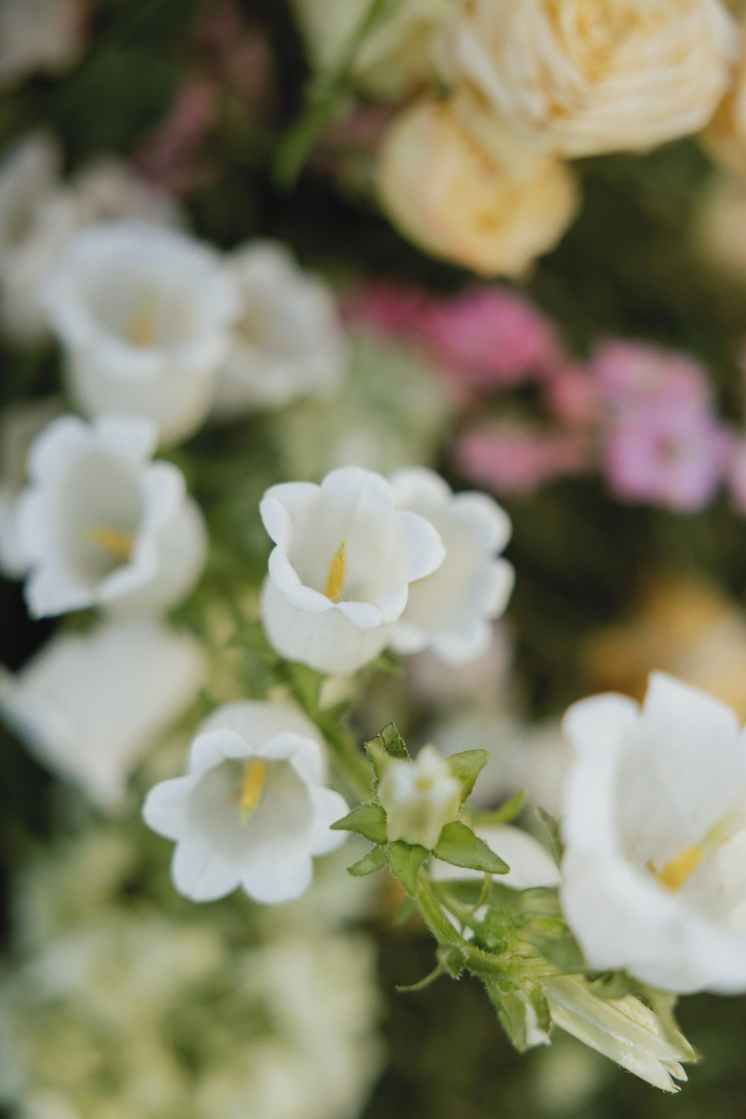 E+VWEDDING-443.jpg