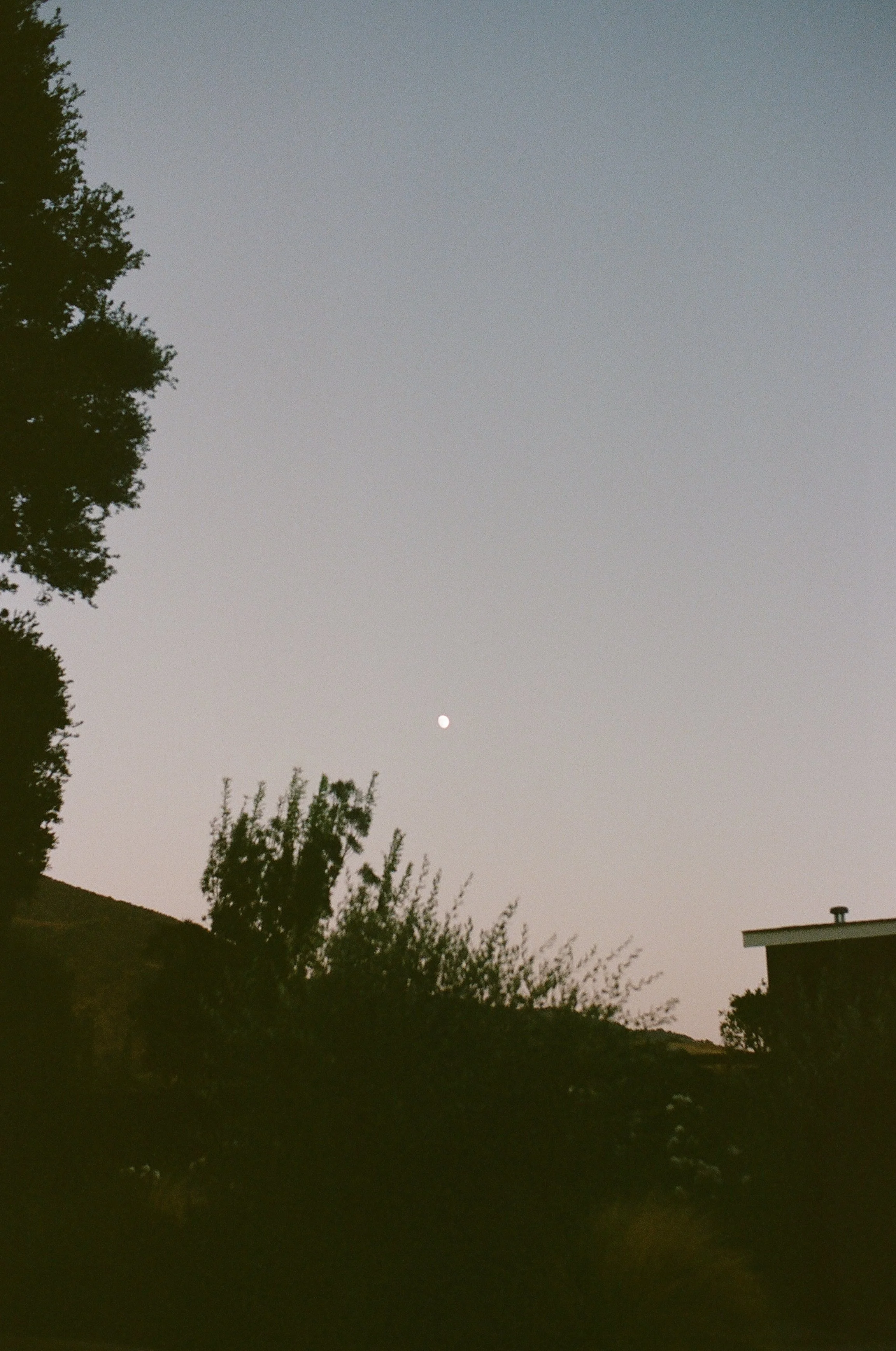 IMG_9807.jpeg