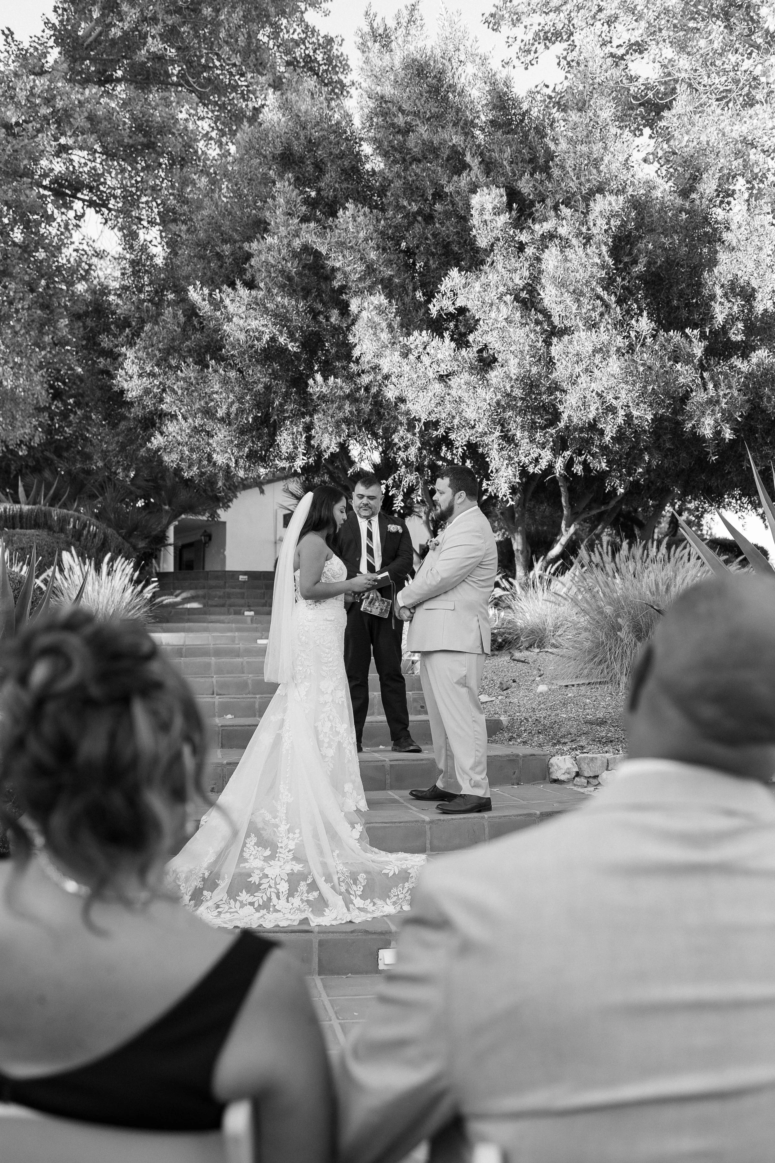 ReidWedding-SNEAKPEEKS-168.jpeg