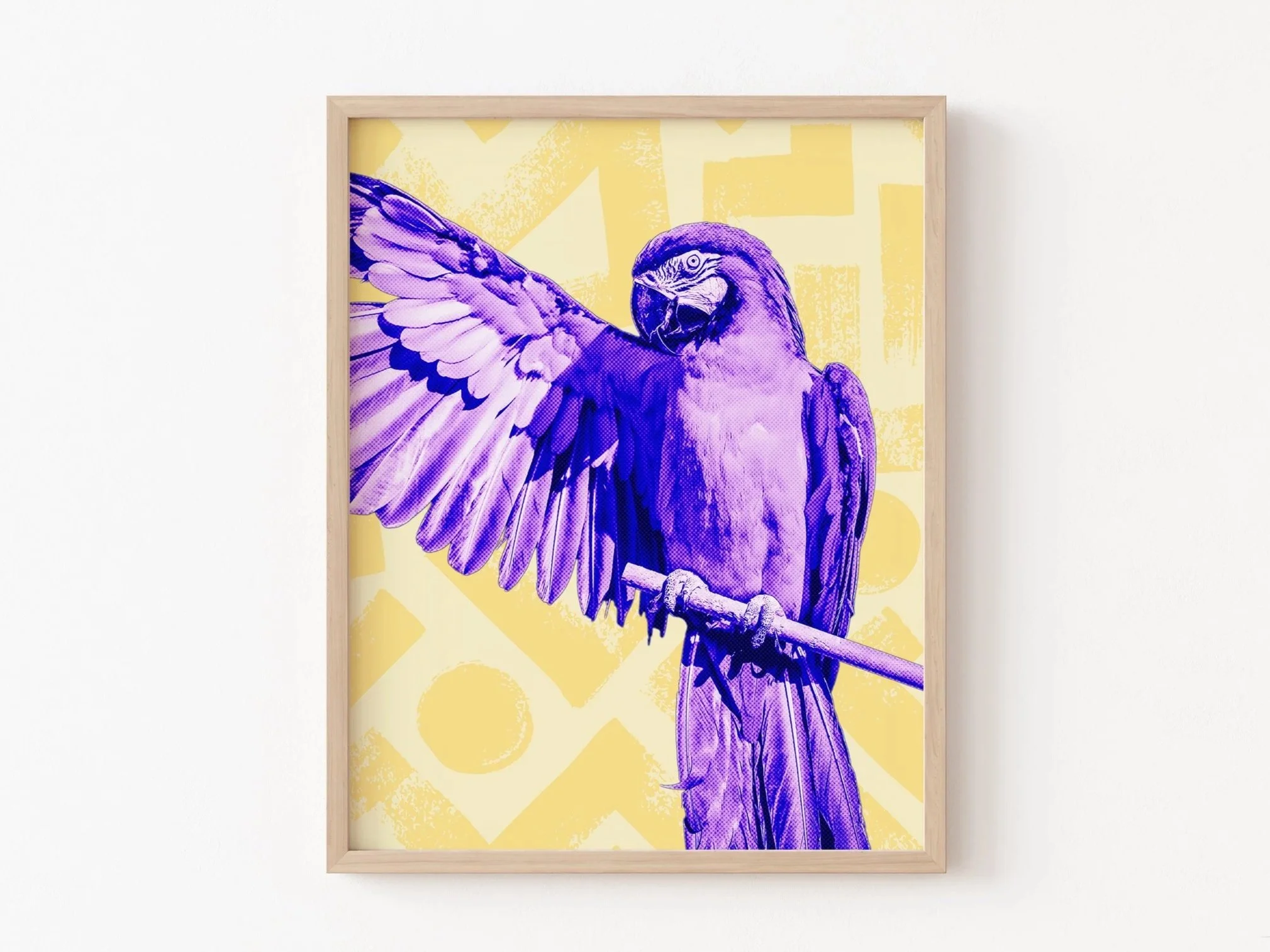 11_14_simpleframeonwall+parrot.jpg