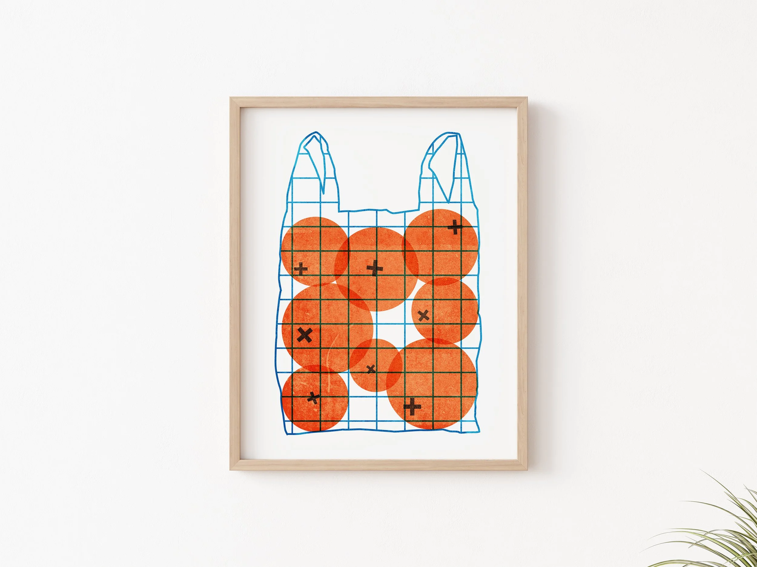 bag oranges 1.jpg