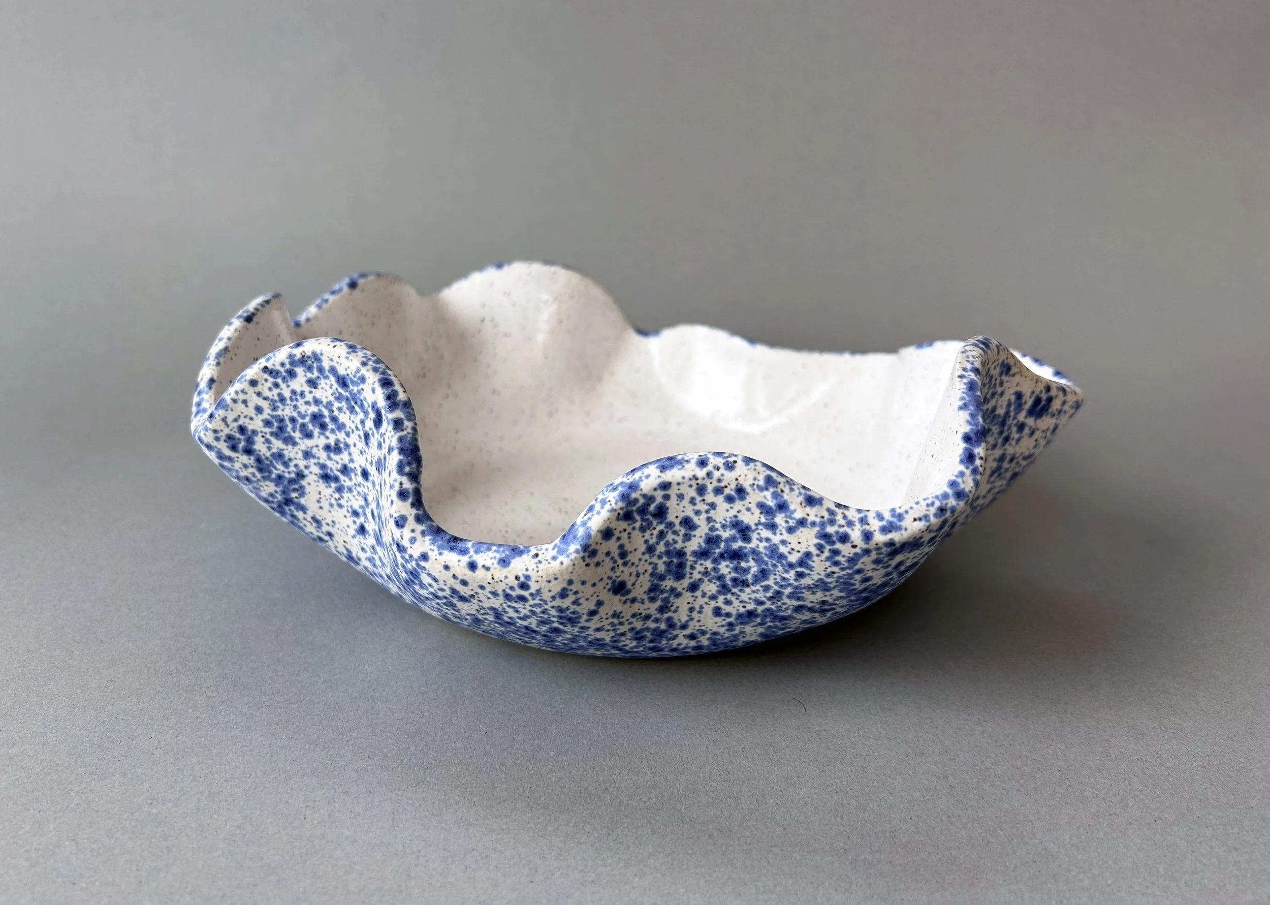 blue and white speckled bowl stoneware copy.jpg