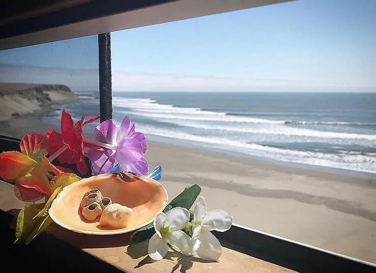 Vista de la playa y el océano desde una ventana, con flores tropicales y una fruta con semillas en primer plano.