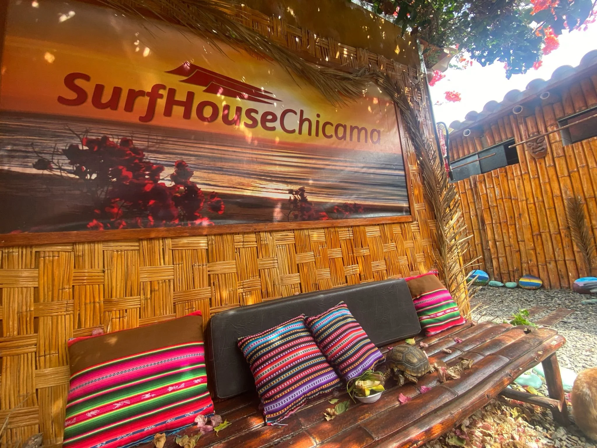 Área decorada con un cartel que dice 'SurfHouse Chicamá', un banco de madera con cojines coloridos, una tortuga en la banca, y una pared de madera acompañada de adornos y piedras decorativas.