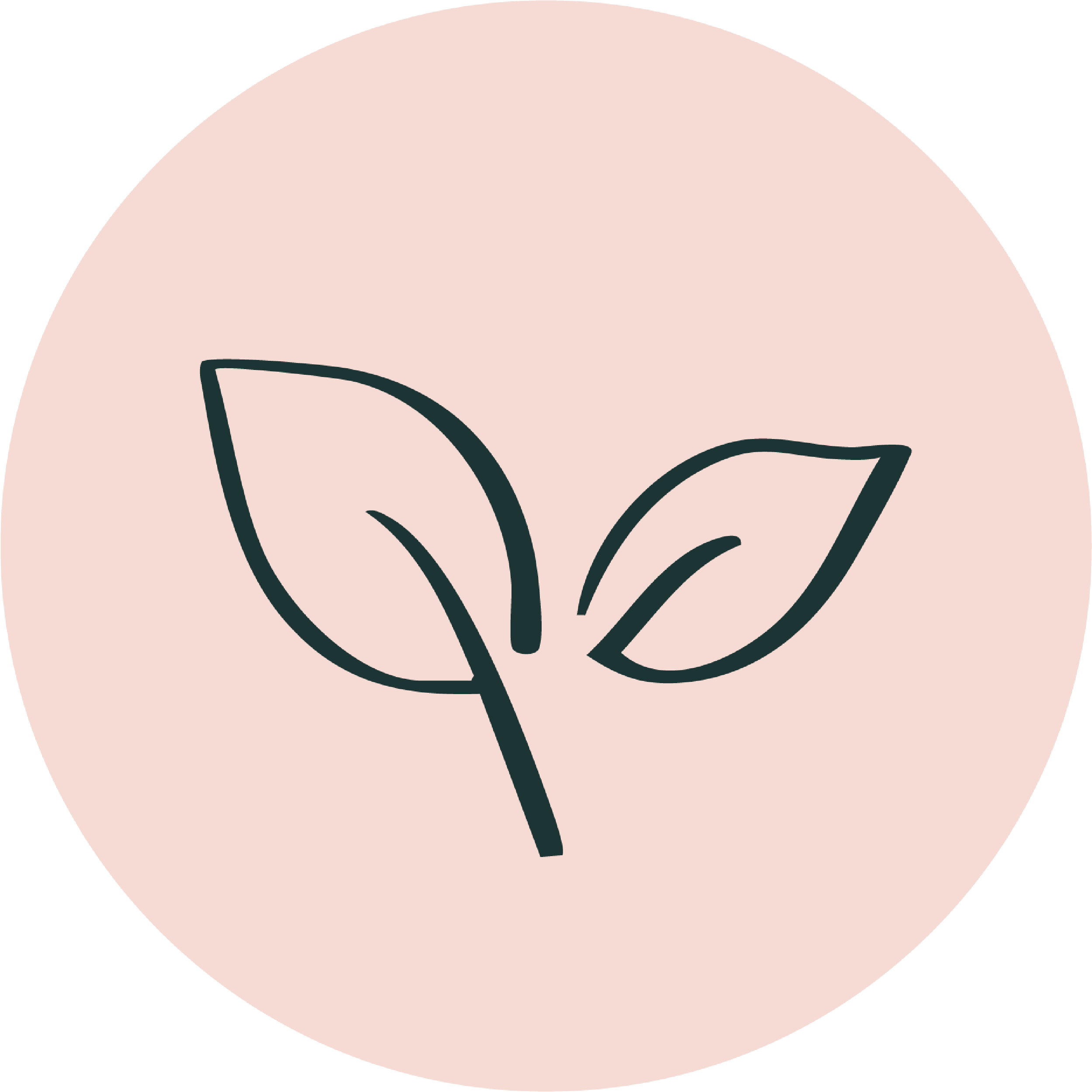 Simple line drawing of two leaves on a stem, against a pale pink circular background.