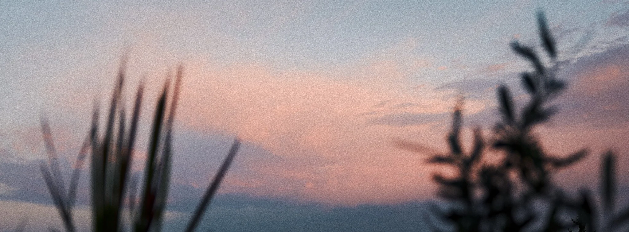 Verwaschenes Bild eines Himmels bei Sonnenuntergang mit Wolken in Pastellfarben, im Vordergrund unscharfe Blätter oder Zweige.