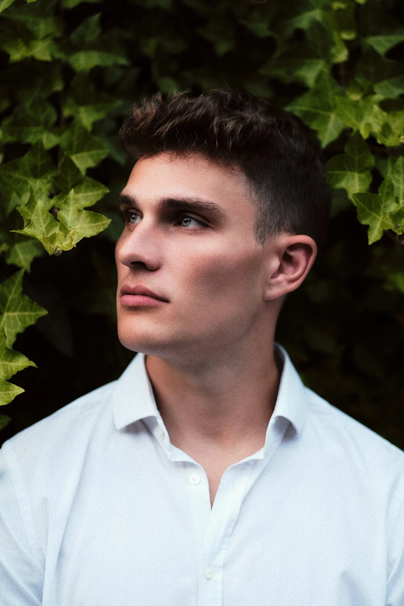 Junger Mann mit heller Haut, braunem Haar und blauen Augen, trägt ein weißes Hemd, steht vor einer grünen, blattreichen Hintergrundwand.