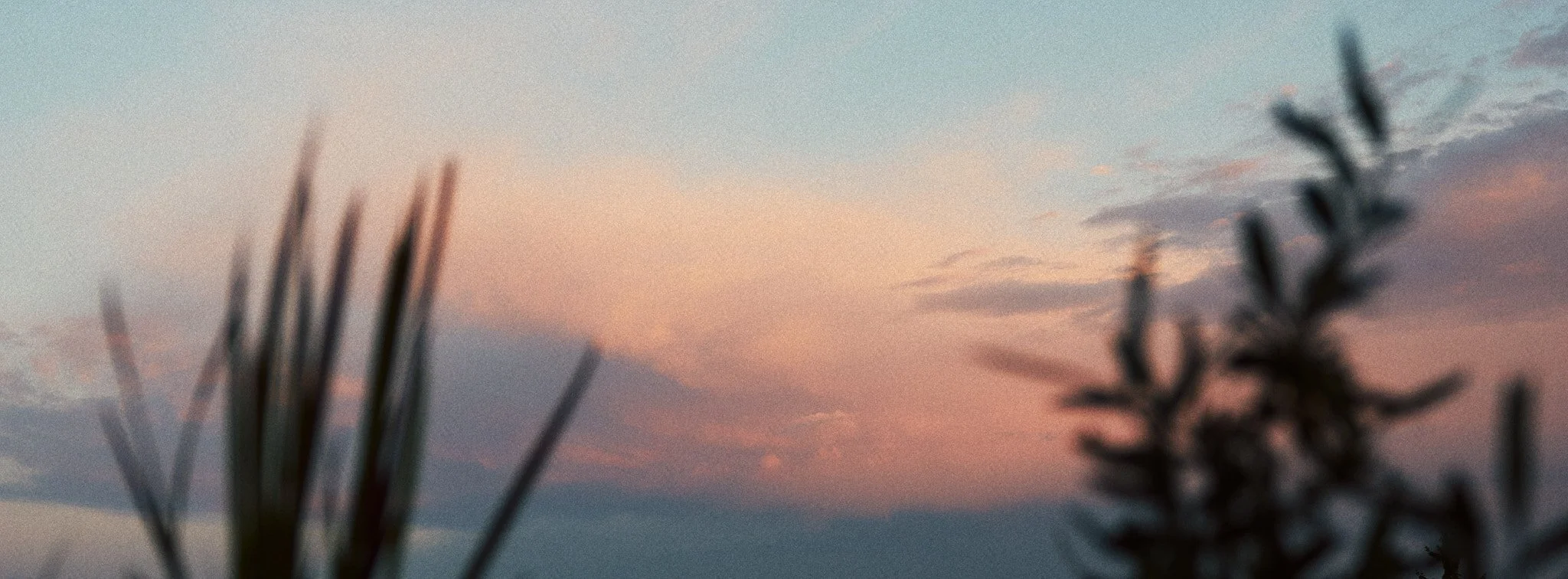 Ein unscharfer Himmel bei Sonnenuntergang mit Wolken und vertrockneten Pflanzen im Vordergrund.