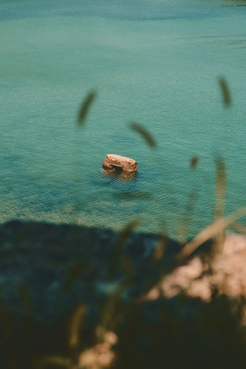 Ein Felsen im klaren Meerwasser, mit einigen Blättern und Zweigen im Vordergrund.
