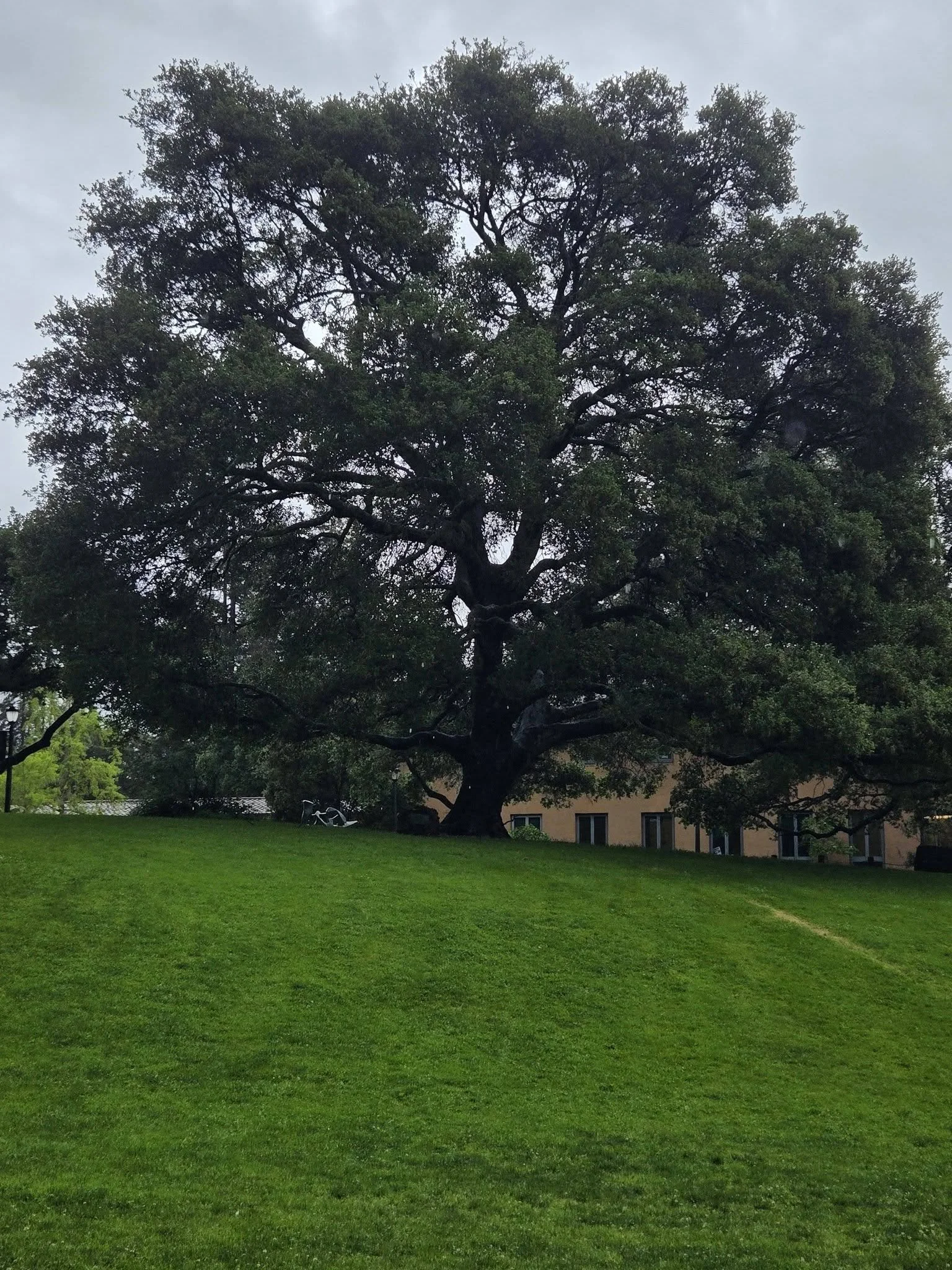 672678959_10241519590636140_7642257174260138550_n.jpg