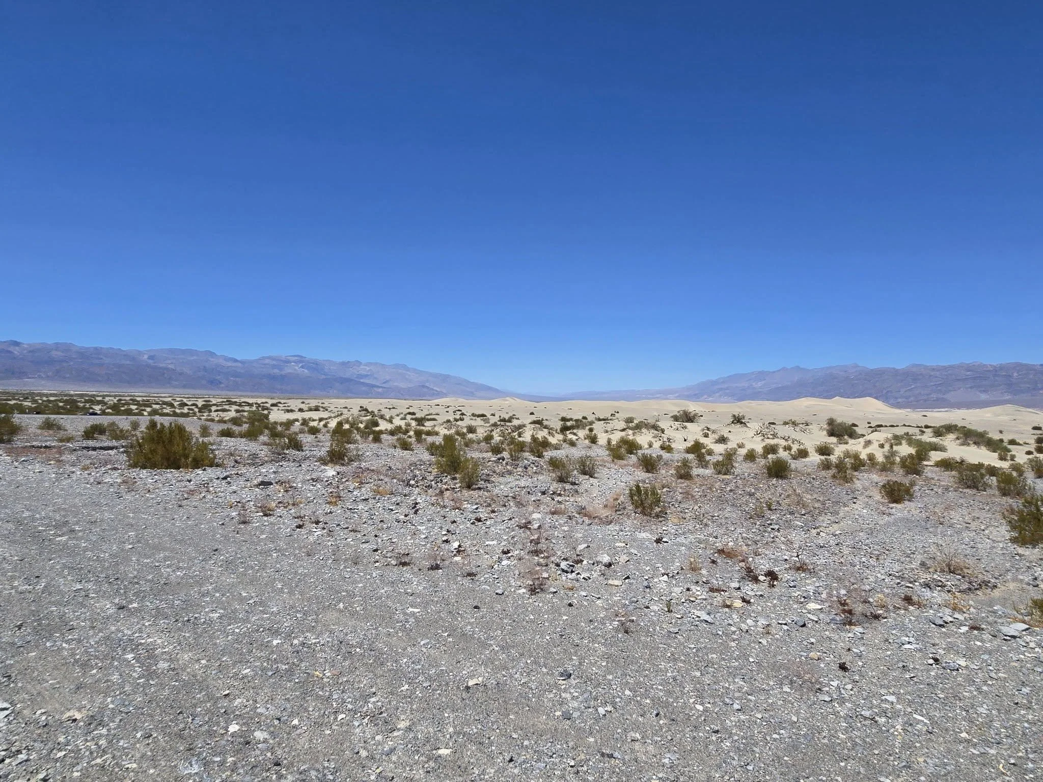760444322_10243073611085680_7726965871962195173_n.jpg