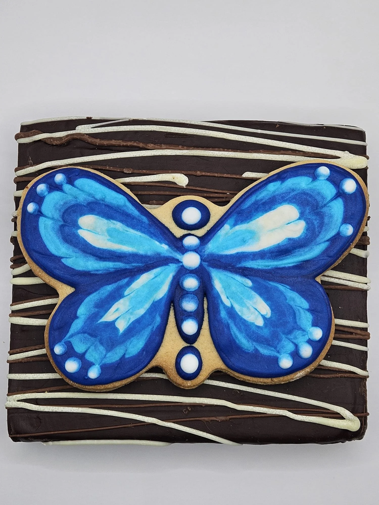 WhatsApp Image 2026-02-11 at 19.53.00.jpeg