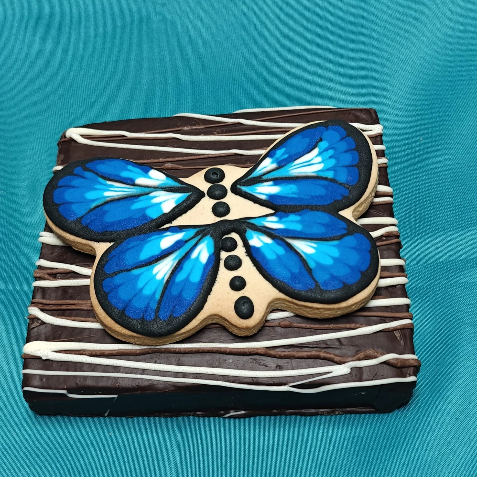 WhatsApp Image 2026-02-10 at 15.13.13.jpeg