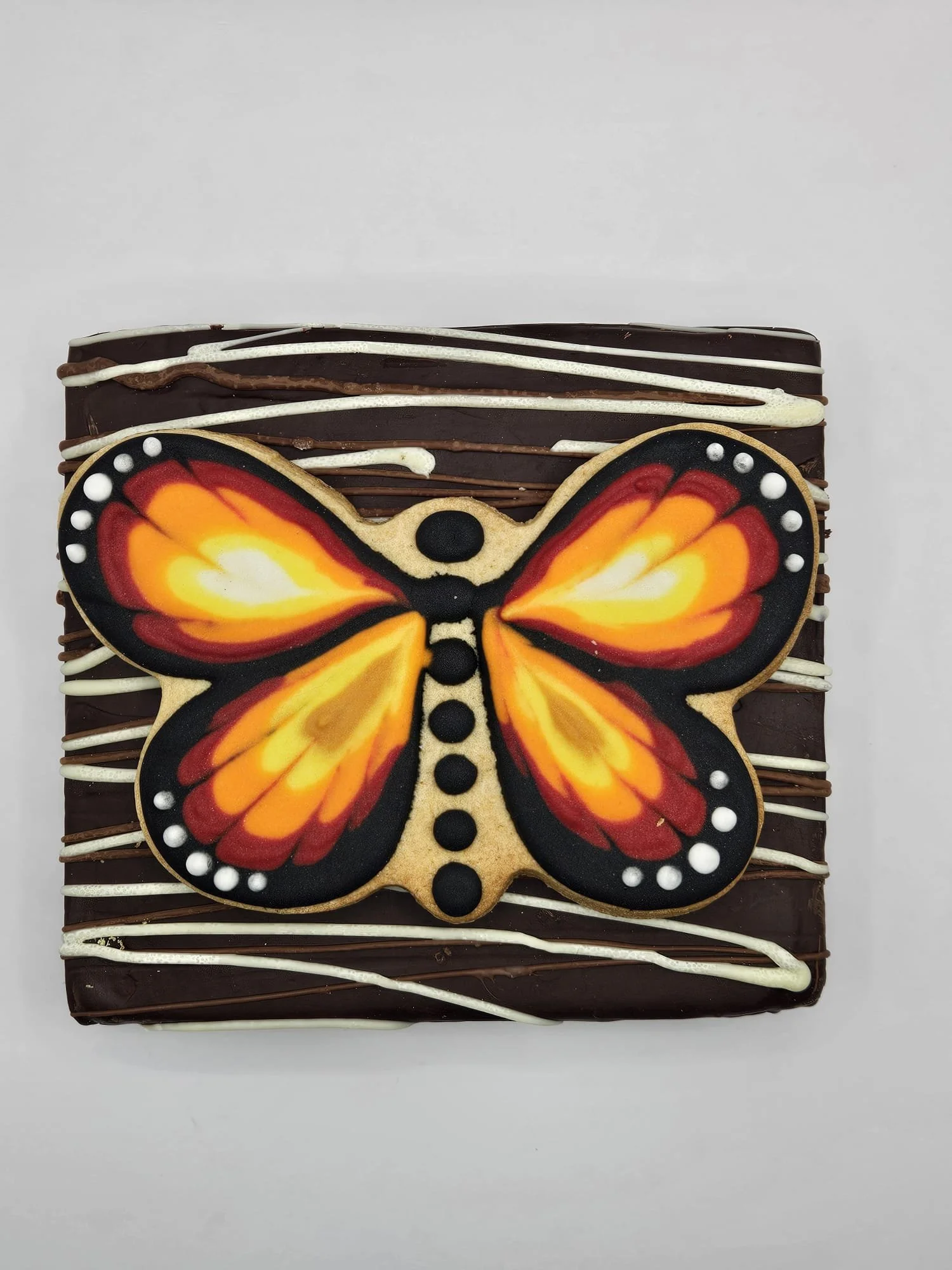 WhatsApp Image 2026-02-11 at 19.52.58 (6).jpeg