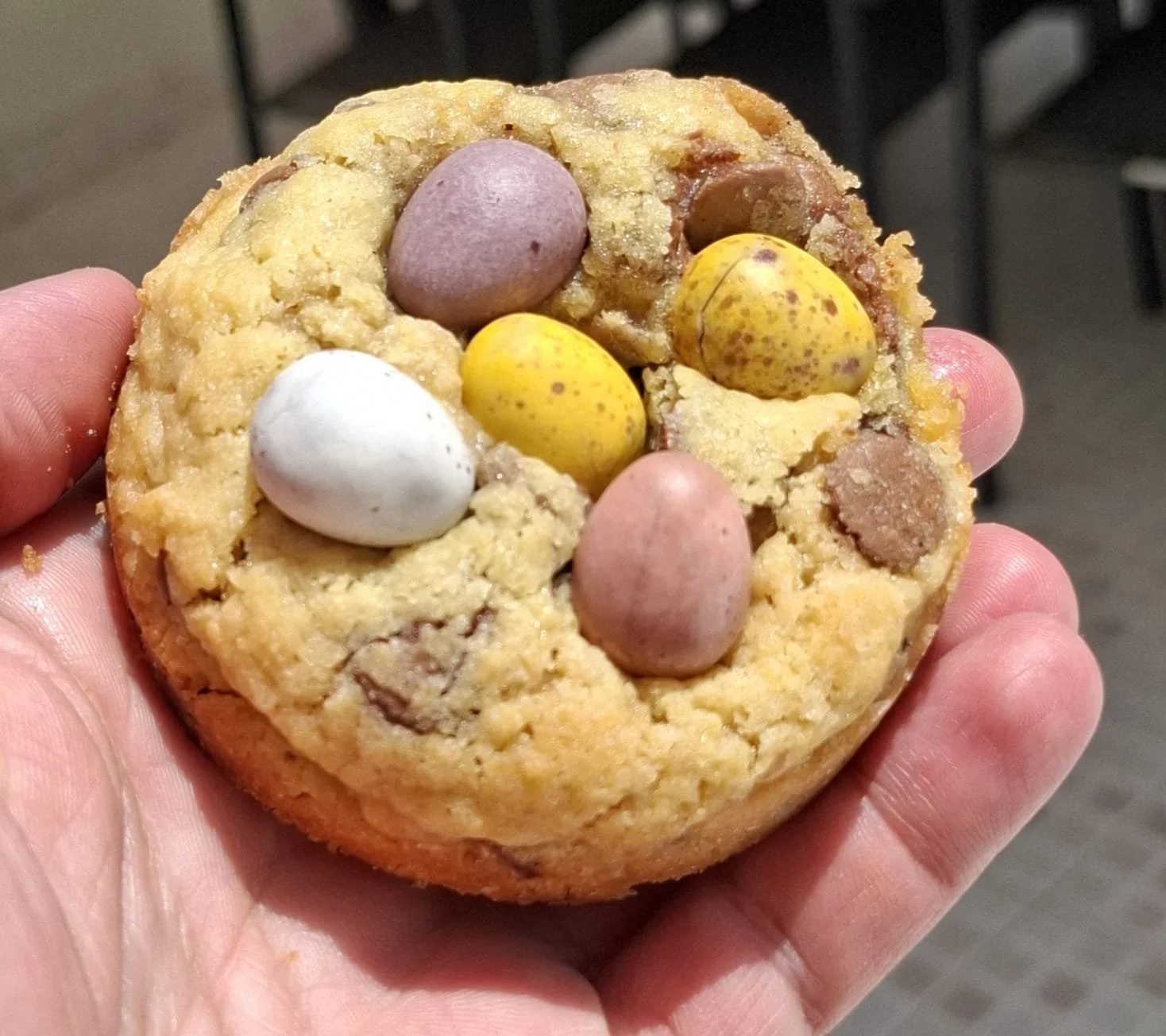 WhatsApp Image 2026-02-21 at 15.02.49.jpeg