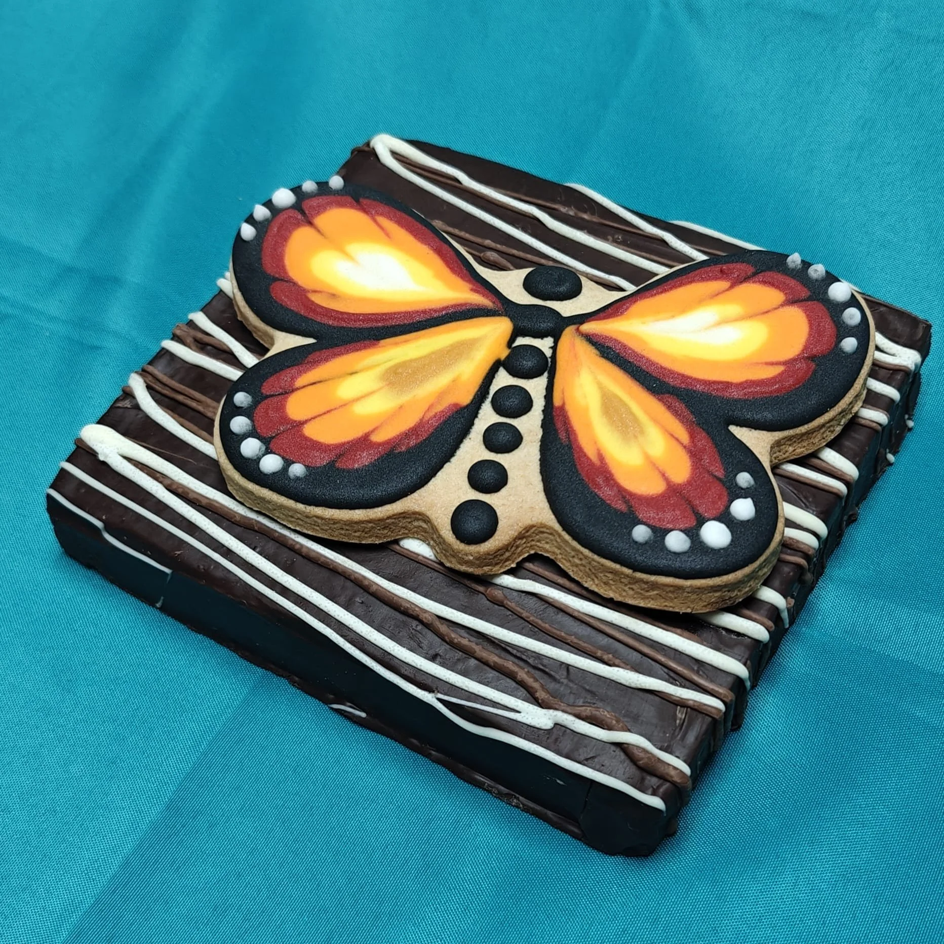 WhatsApp Image 2026-02-10 at 15.13.07 (2).jpeg