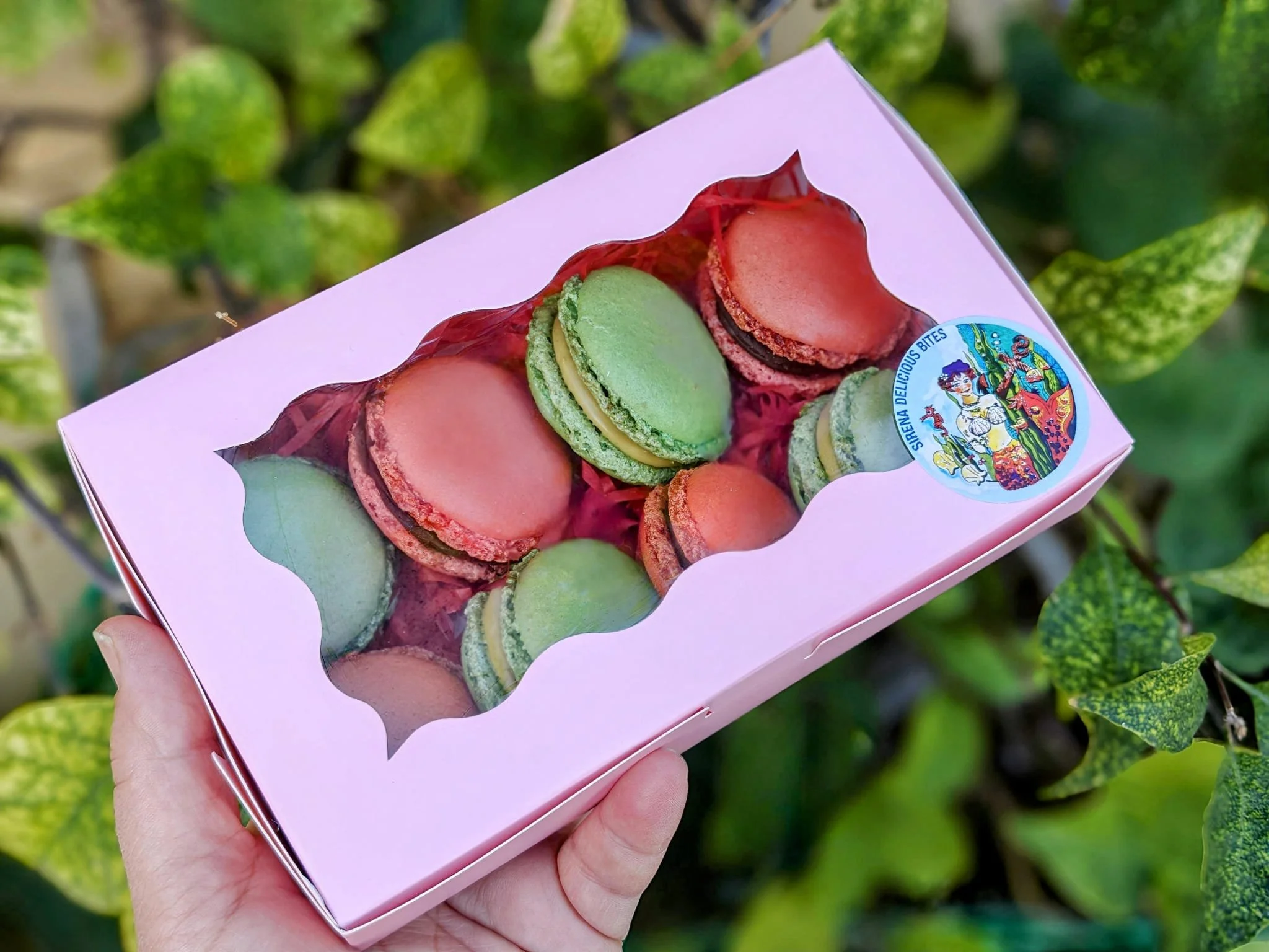 macaroons.jpg