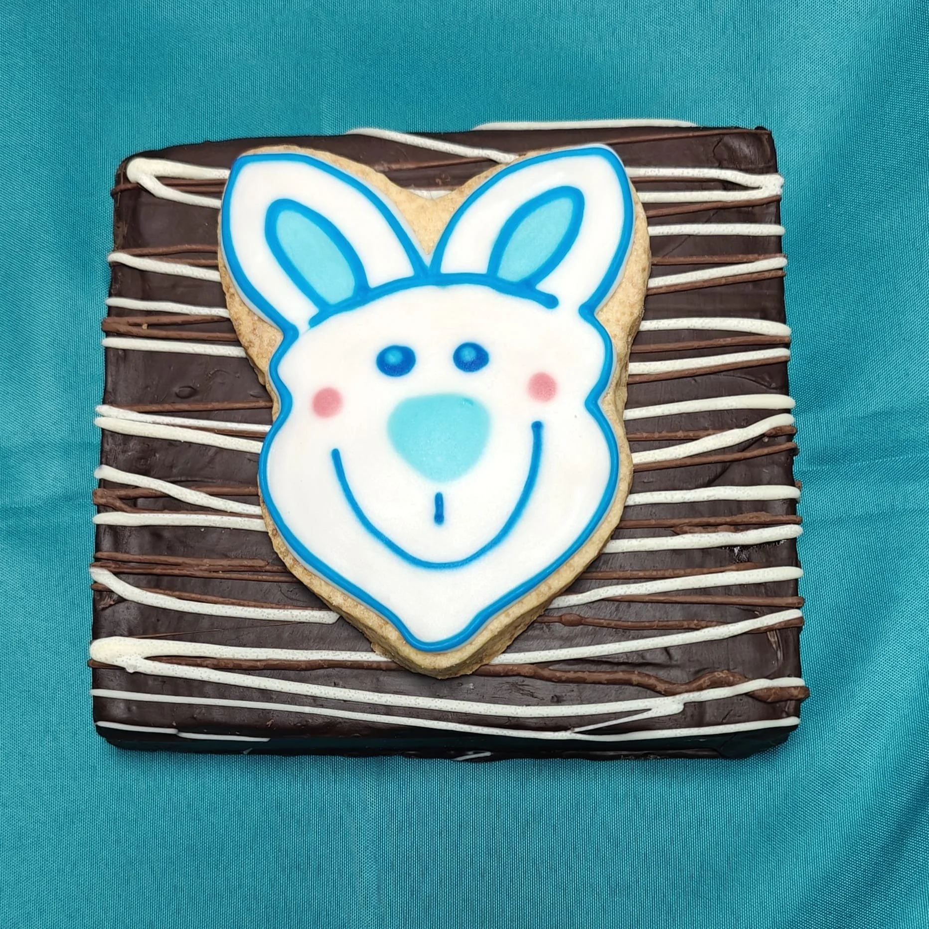 WhatsApp Image 2026-02-10 at 15.13.06 (1).jpeg