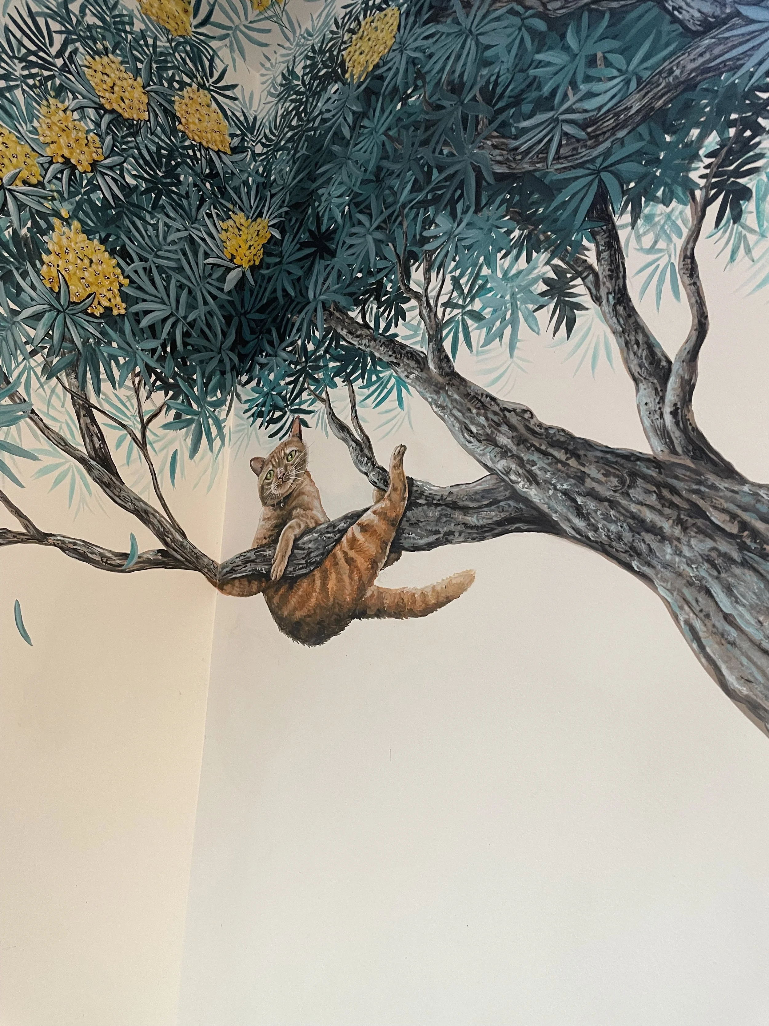 Novotny Tree - cat.jpg