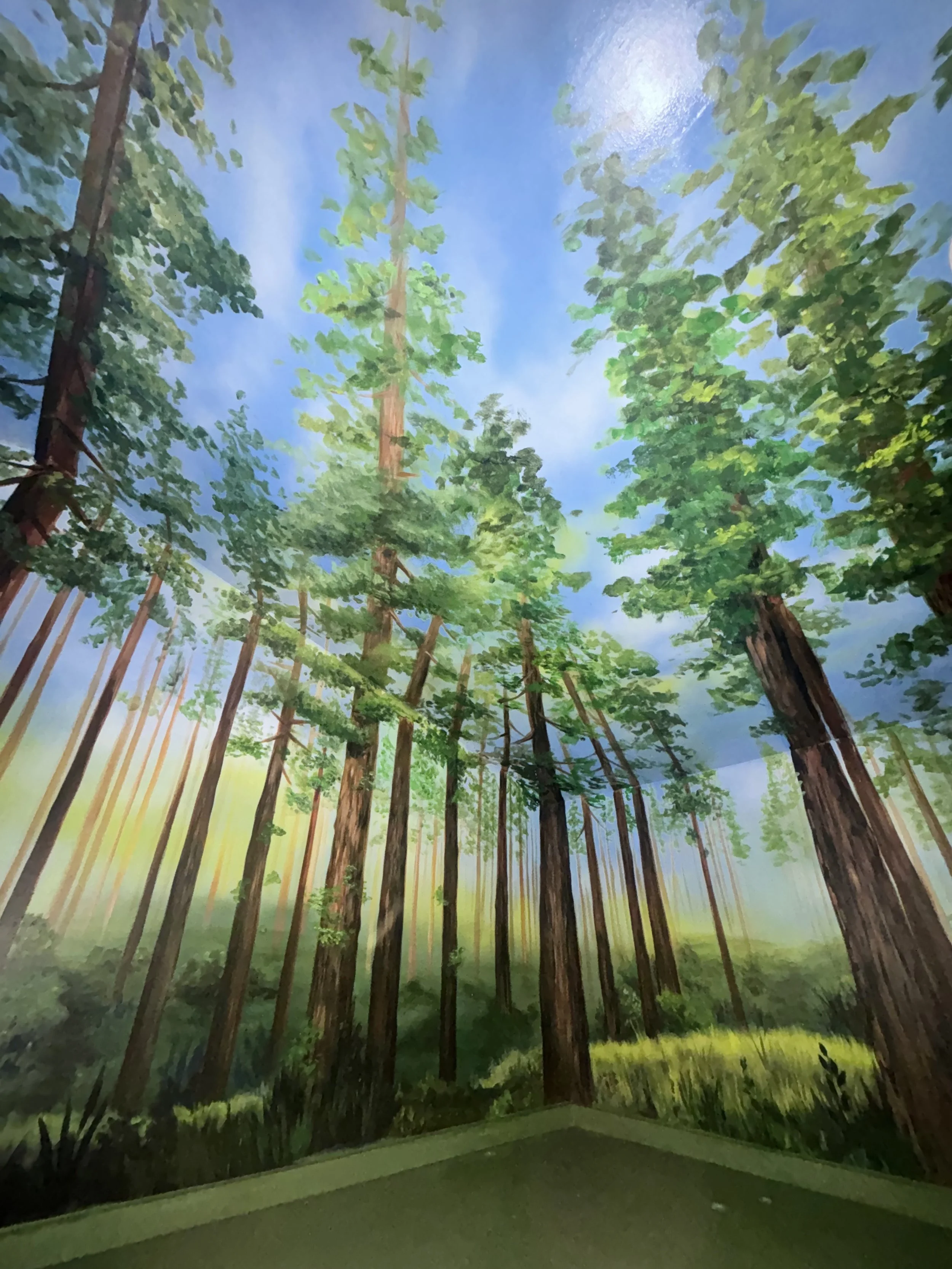 Trees.jpg