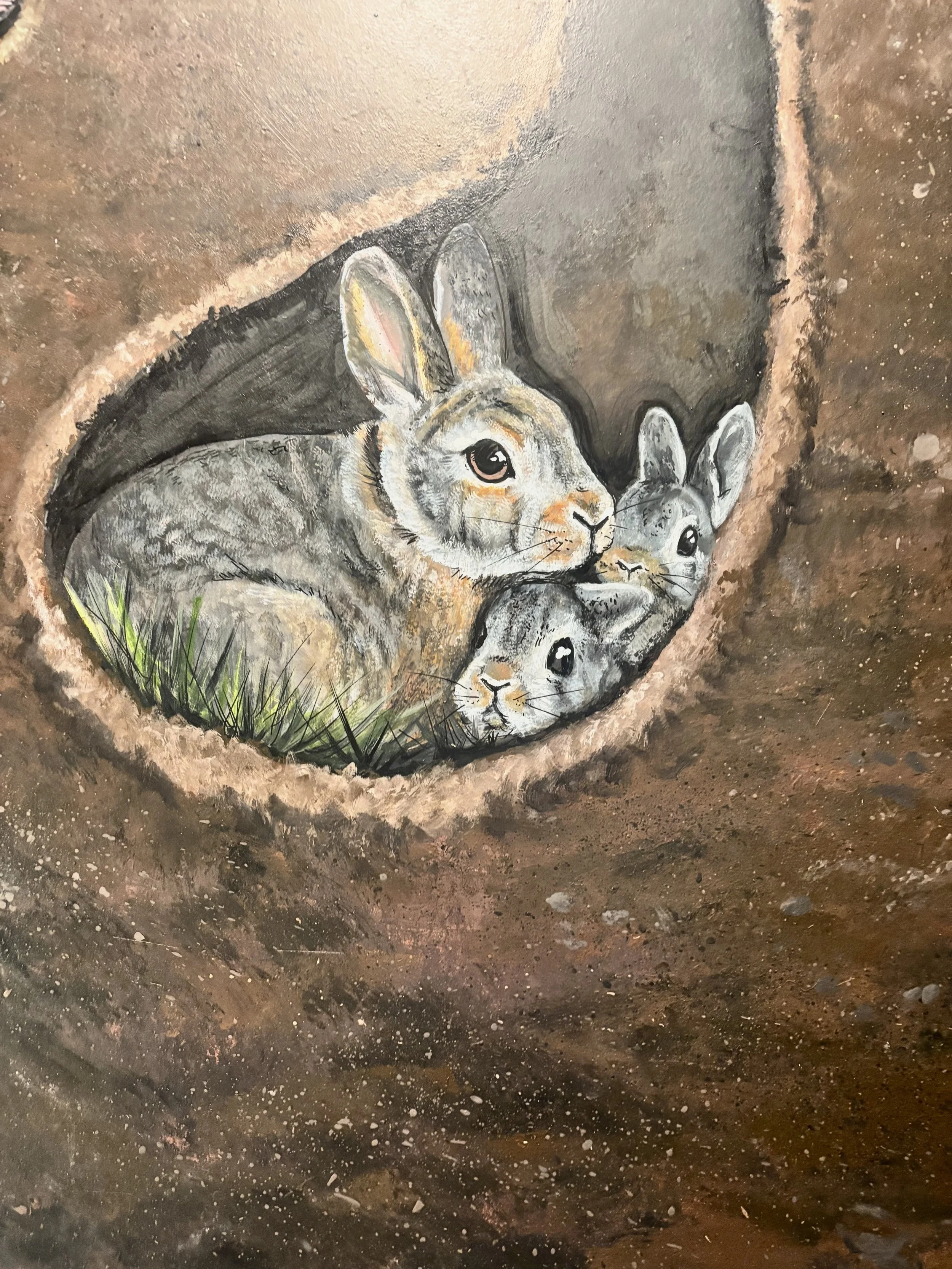 Rabbits.jpg