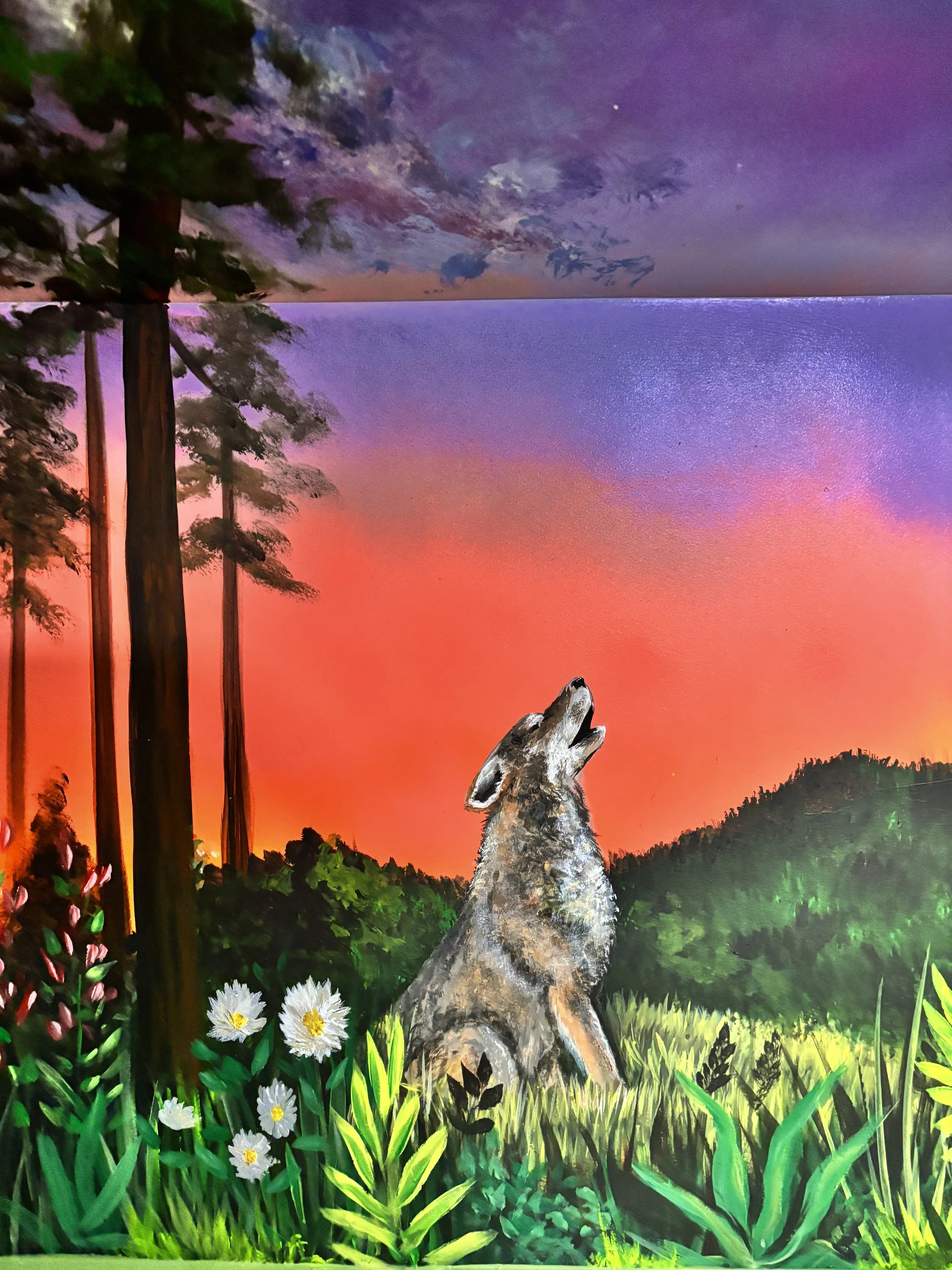 Coyote.jpg