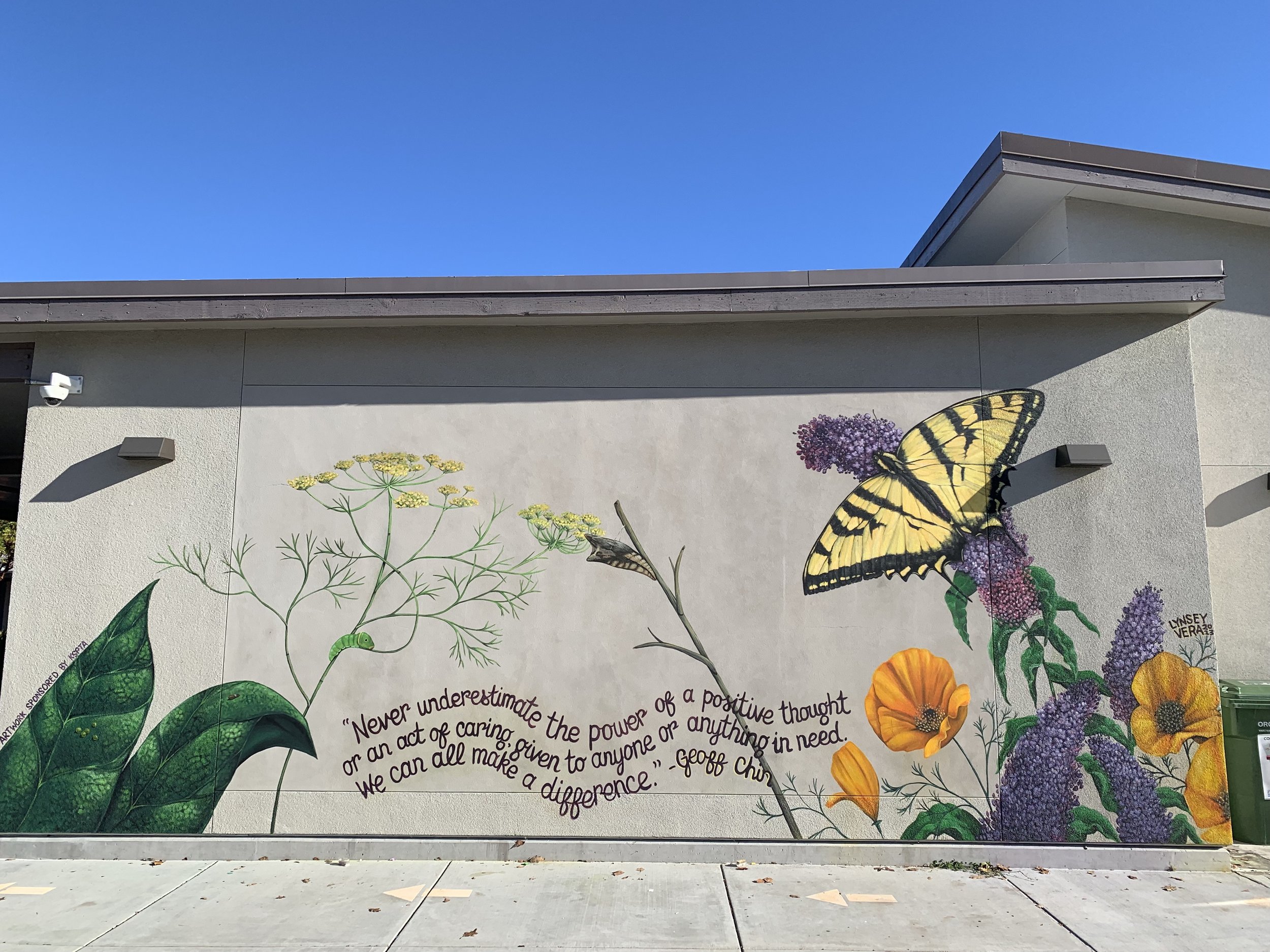 Positive Thought.jpg