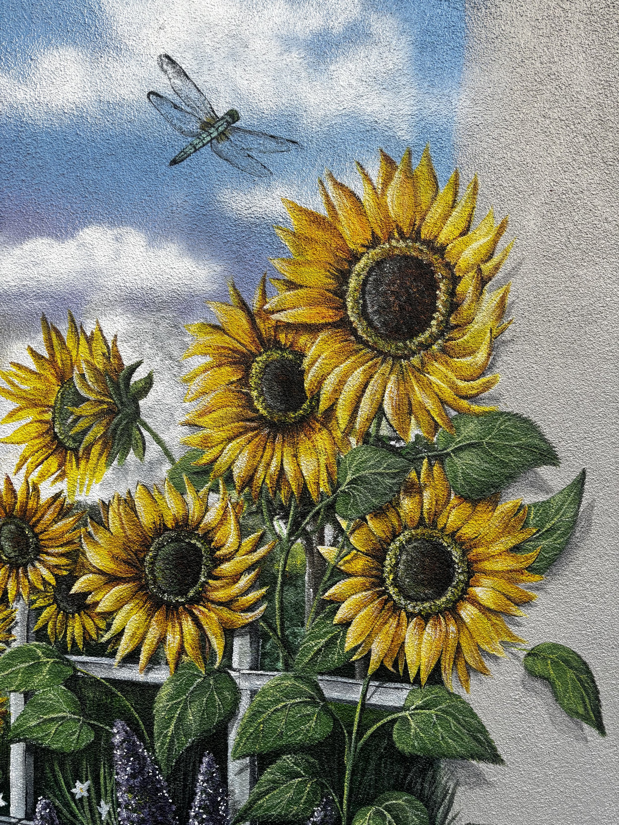Sunflowers.jpg