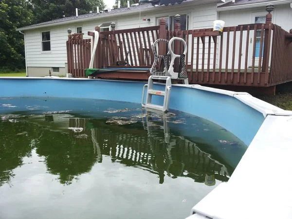 A residential backyard swimming pool with green water, a pool ladder, and a wooden deck with chairs and a bucket, attached to a white house.
