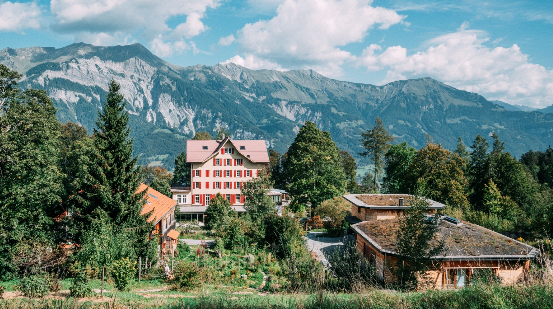 Heilpflanzenführung