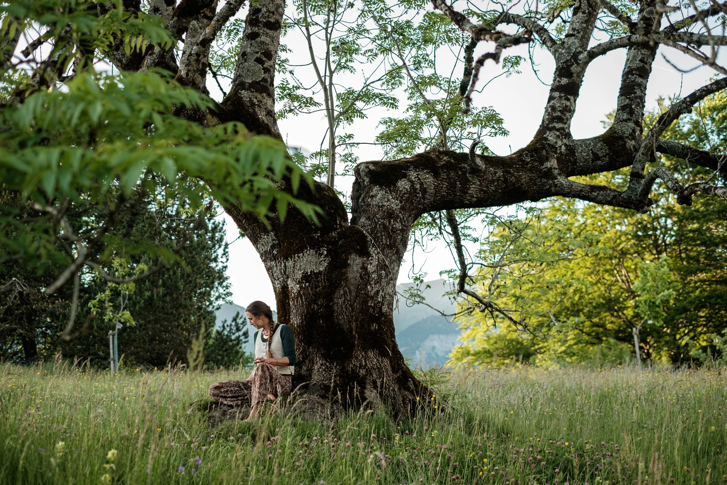 Mit Pflanzen verbunden