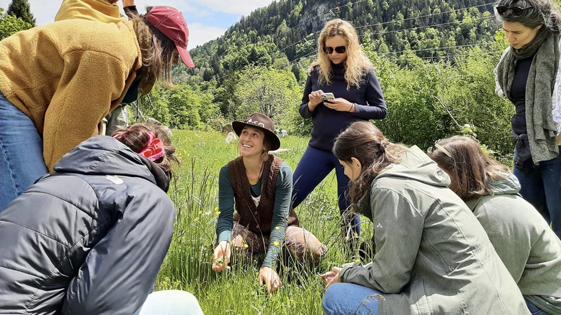 Spezialführung: Essbare Wildpflanzen