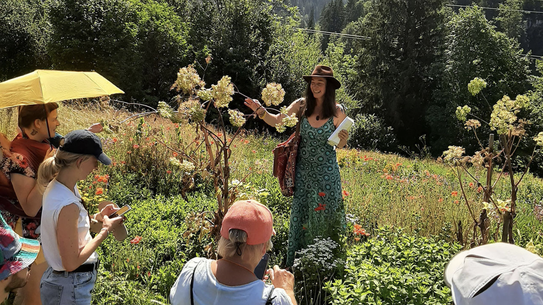 Heilpflanzenführung