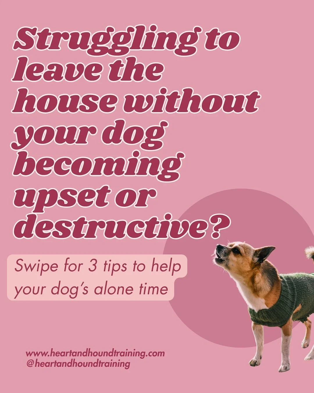 Want to schedule a drop in visit? Book now on my website, link in bio! 
.
.
.
#separationanxiety #separationanxietytraining #dogtrainer #pdxdogs #dogsofinstagram #instadog #dogstagram