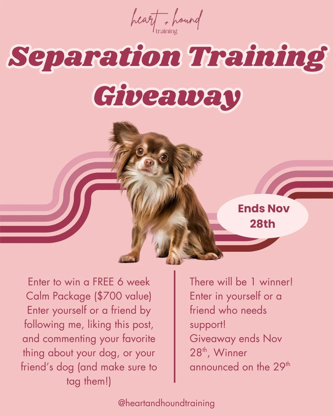 Giveaway time! Do you, or someone you know, struggle with their dog's alone time struggles? Enter you or your friend to win a FREE Calm Package, a 6 week program worth $700! Rules to enter: Follow me, like this post, and comment your favorite thing a
