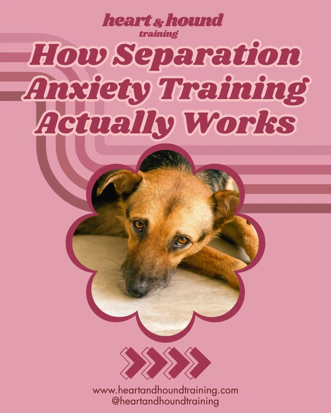 How Separation Training Actually Works, no secrets or complicated training. You may have seen some trainers claim that strategic desensitization doesn't work, however it seems they just misunderstand the process. This training isn't complicated or st