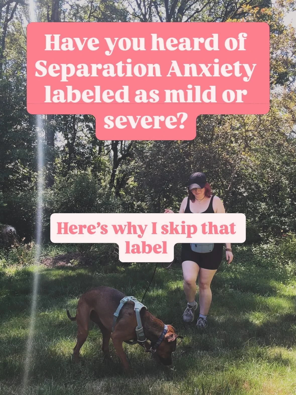 By the time we see symptoms of separation anxiety, whether it&rsquo;s panting, pacing, or destruction, we are already looking at a dog really struggling with being alone. I&rsquo;ve heard and seen guardians that question if their dog&rsquo;s case is 