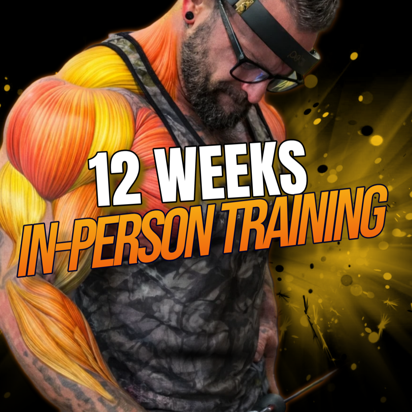 Big+Backed+%283%29+%289%29.png (Copy)