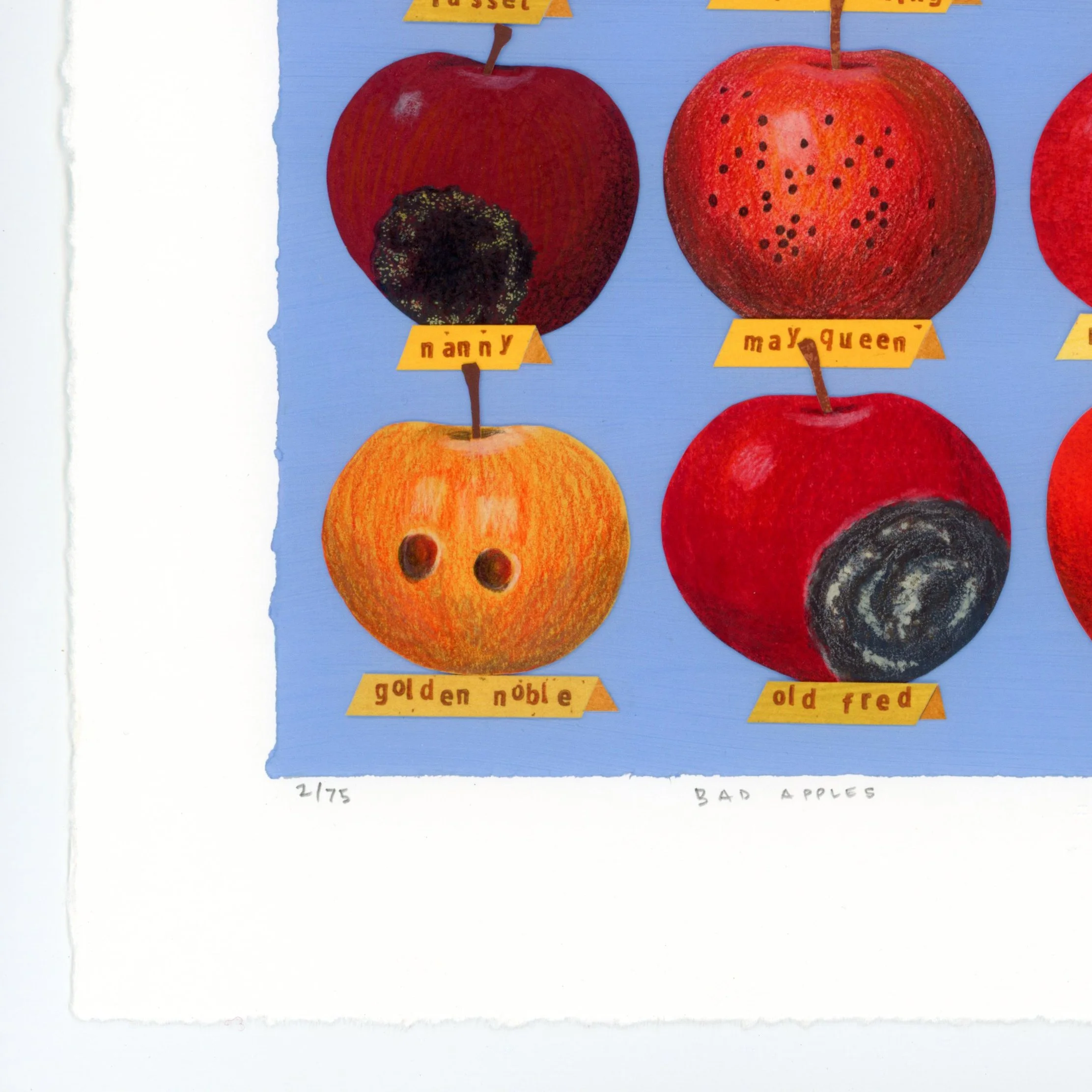 bad apples -detail2.jpg