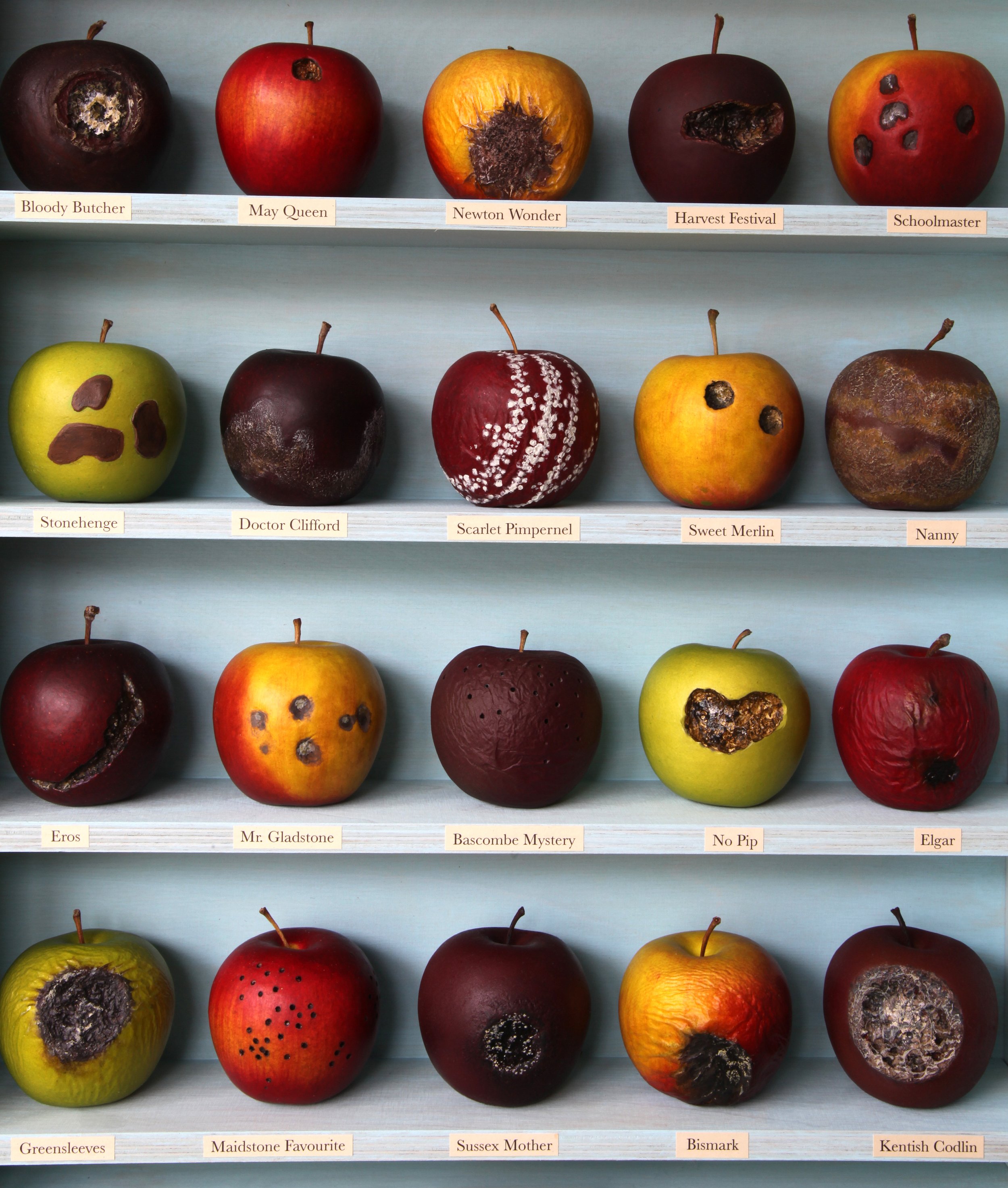 Bad Apples - detail