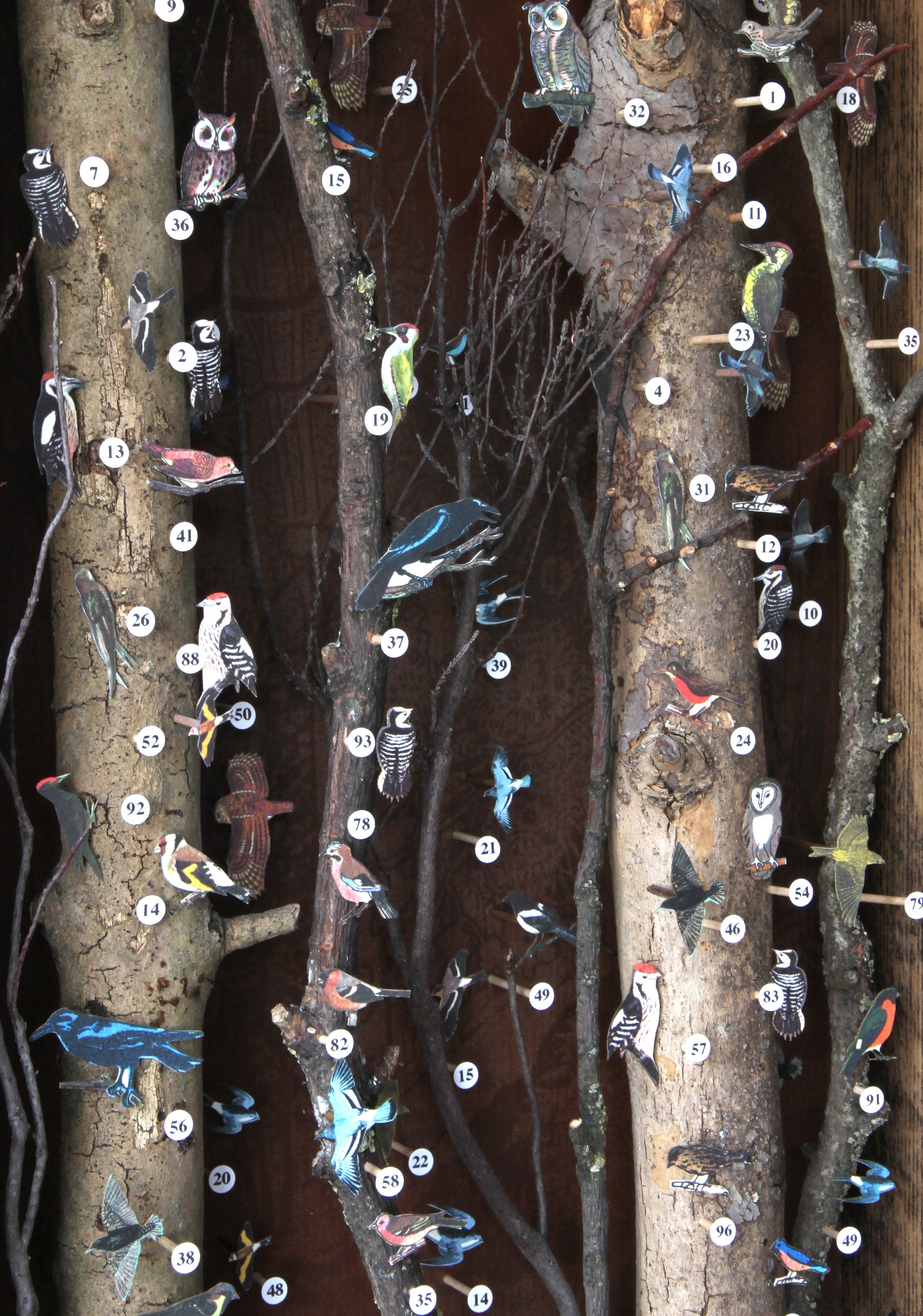 Into the Wood - detail